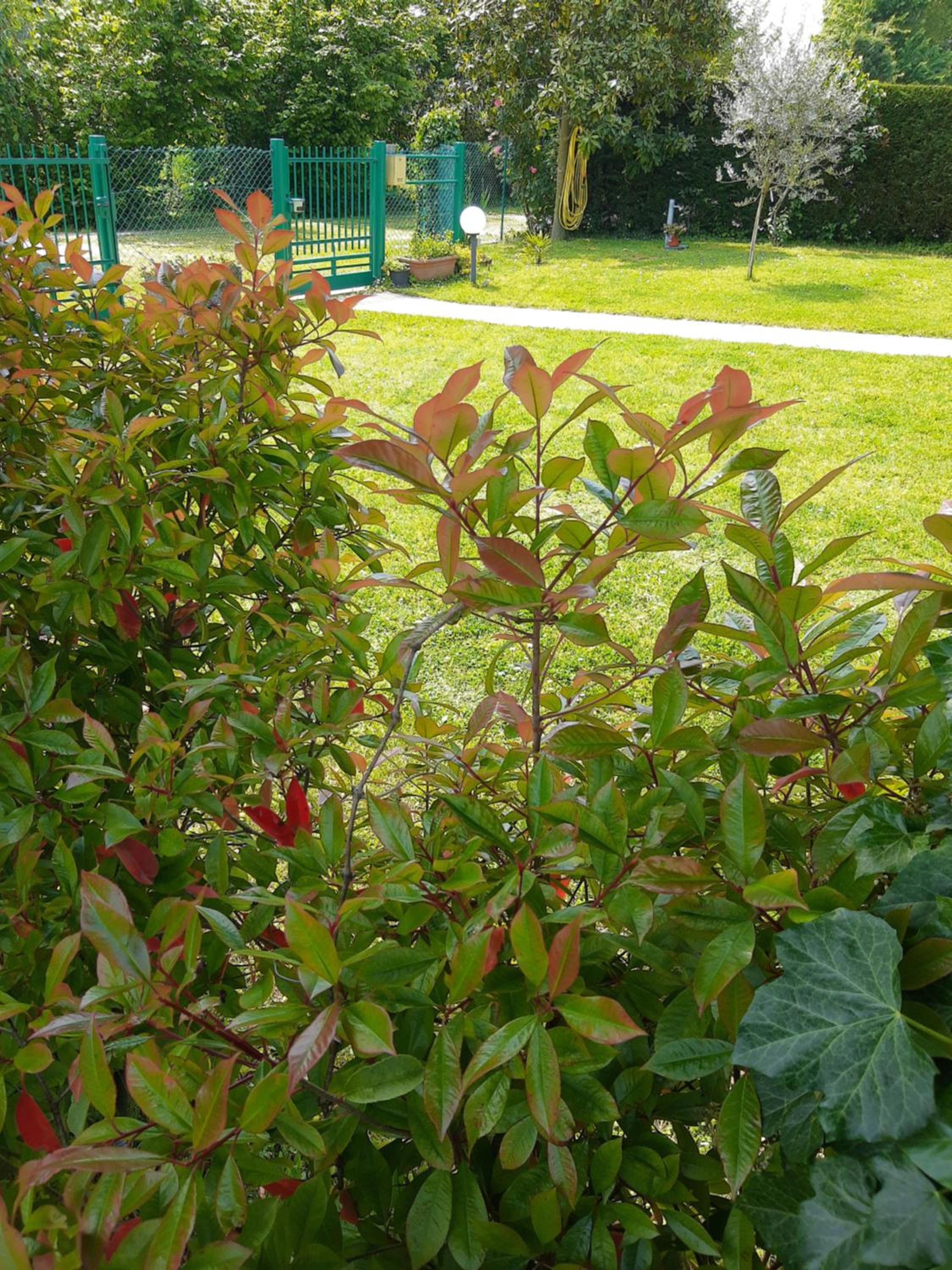 Photo 31