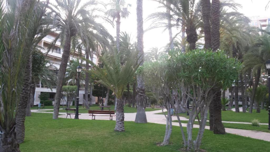 Casa del Buho view 4