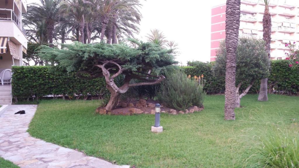 Photo 35