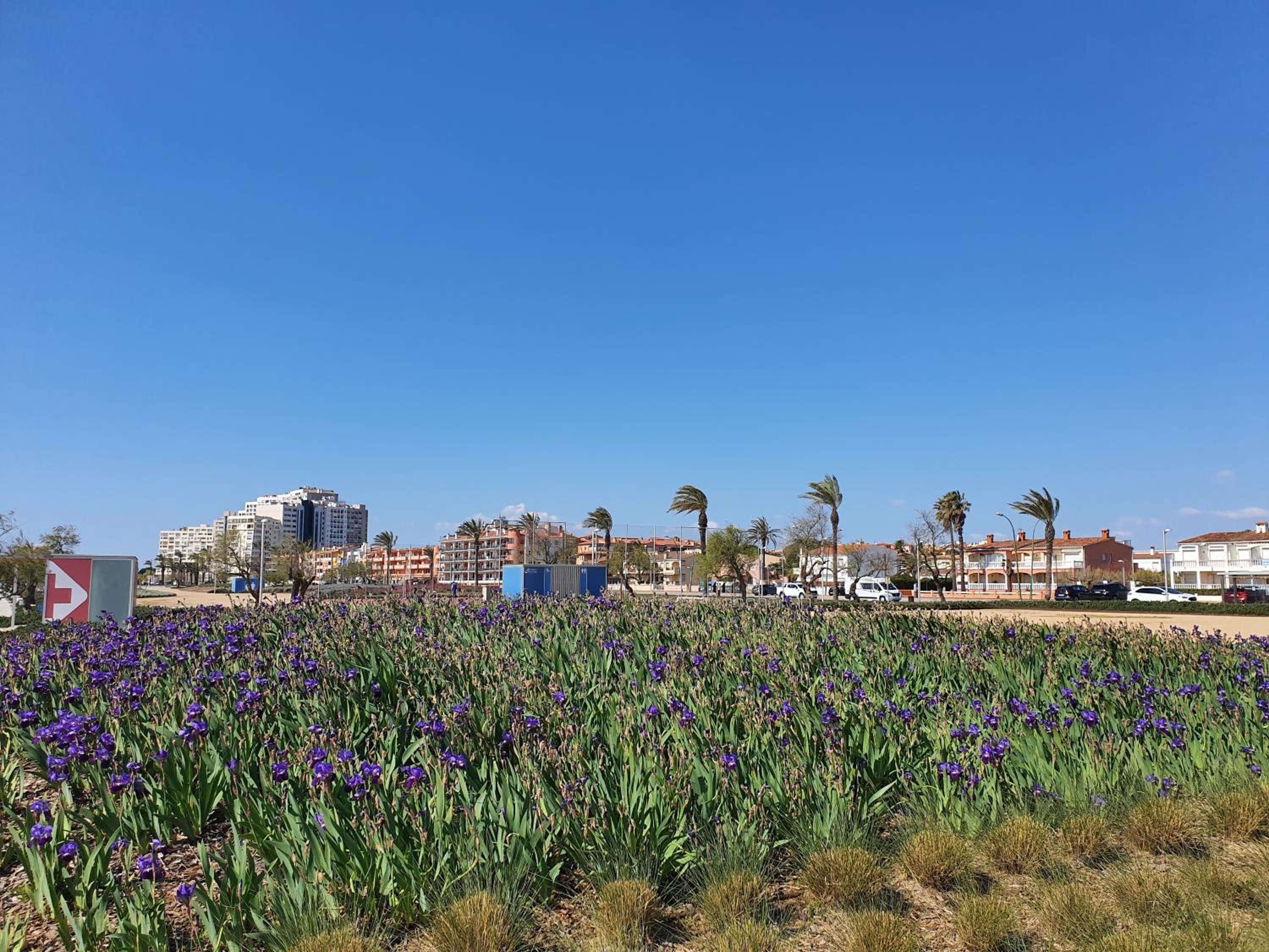 other