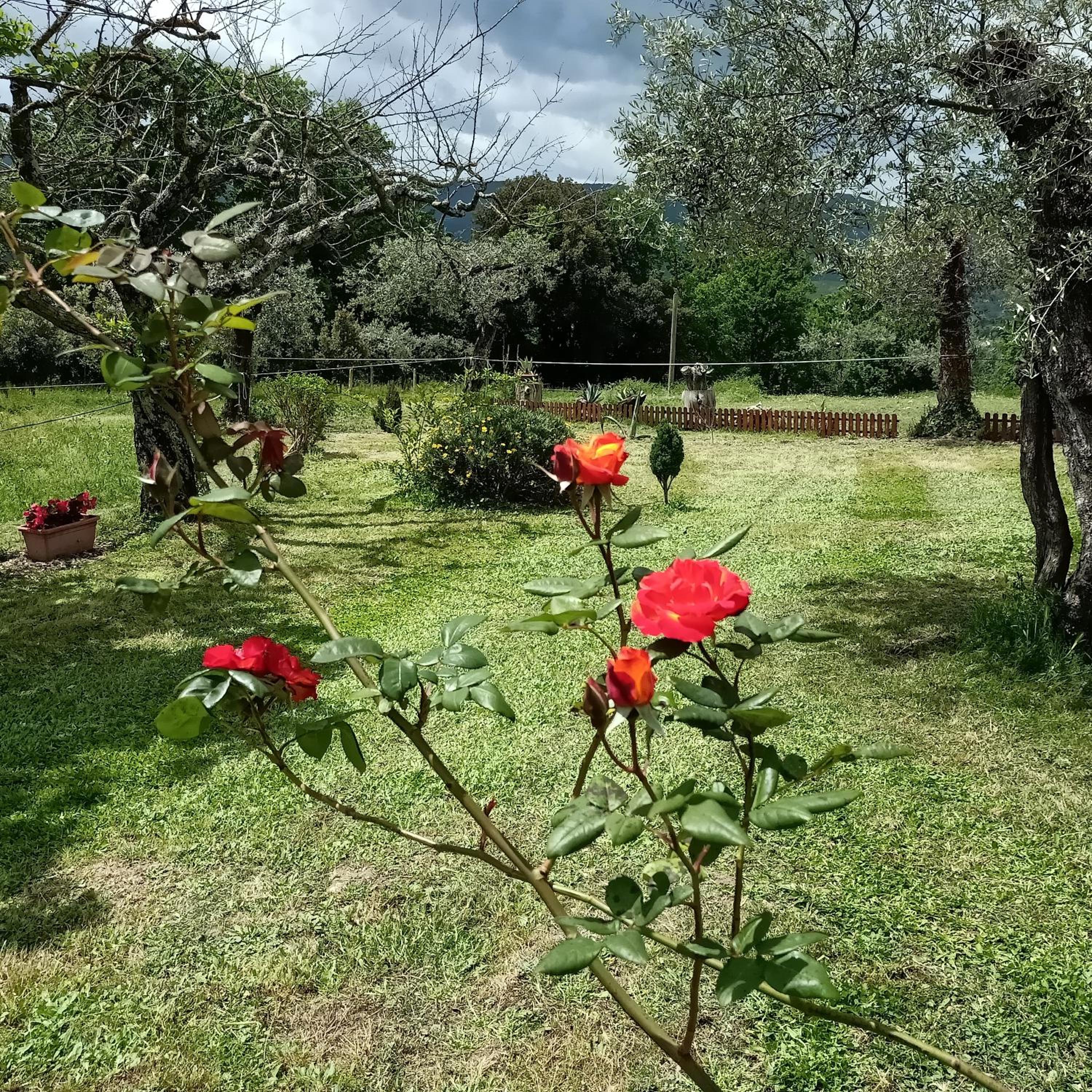 Photo 27