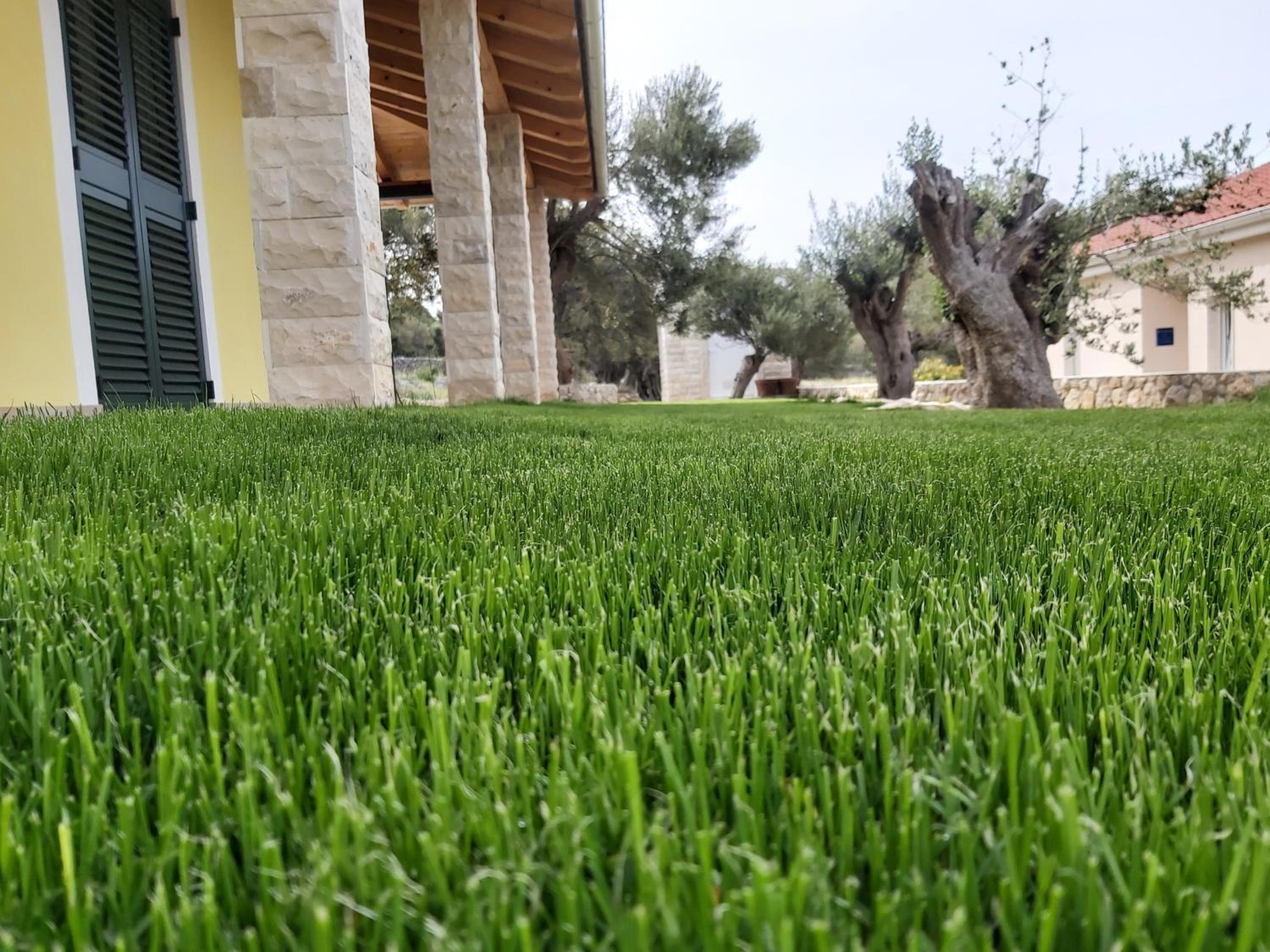 Hotel Villa Paula - Image 1