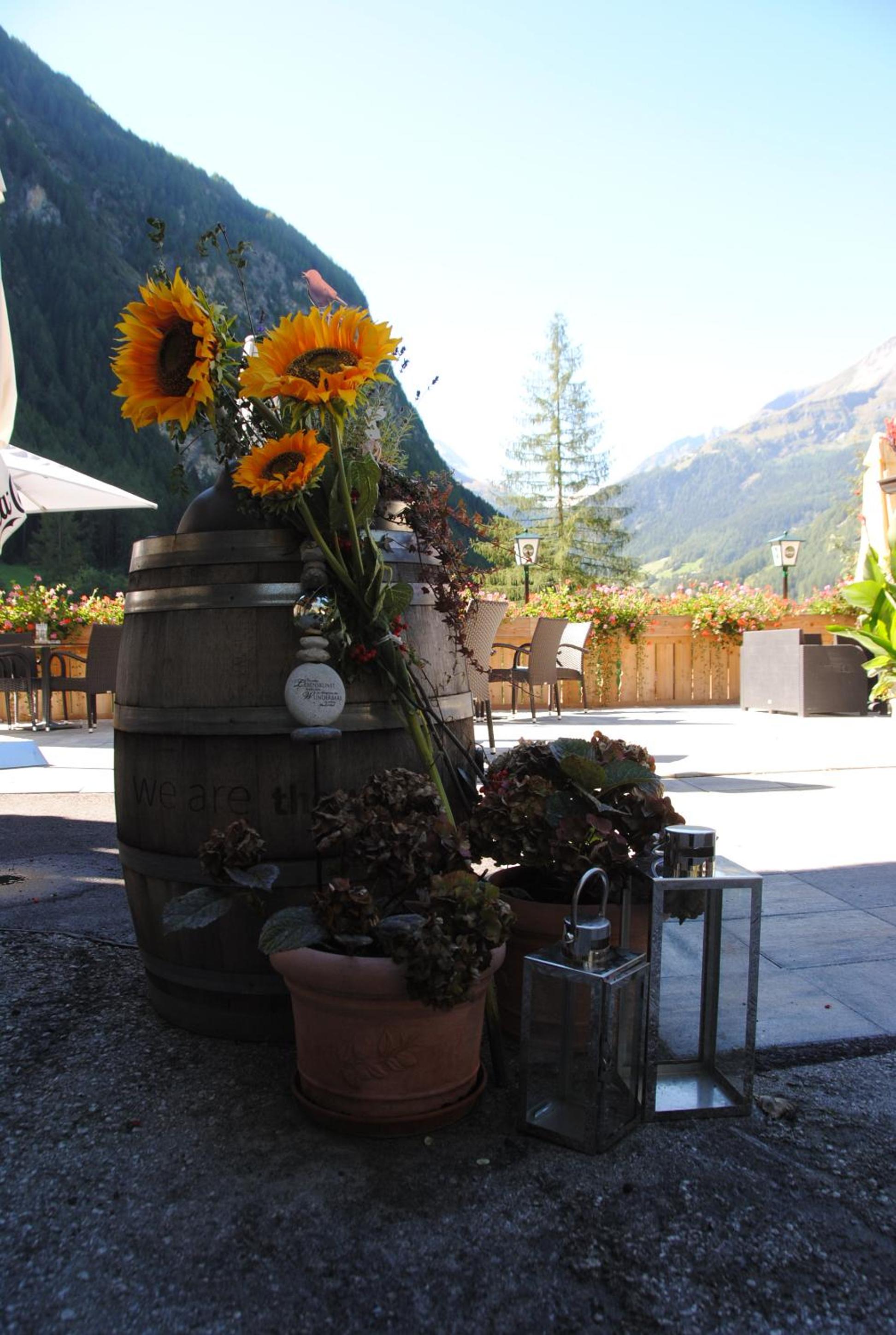Hotel - Restaurant - Sonnblick