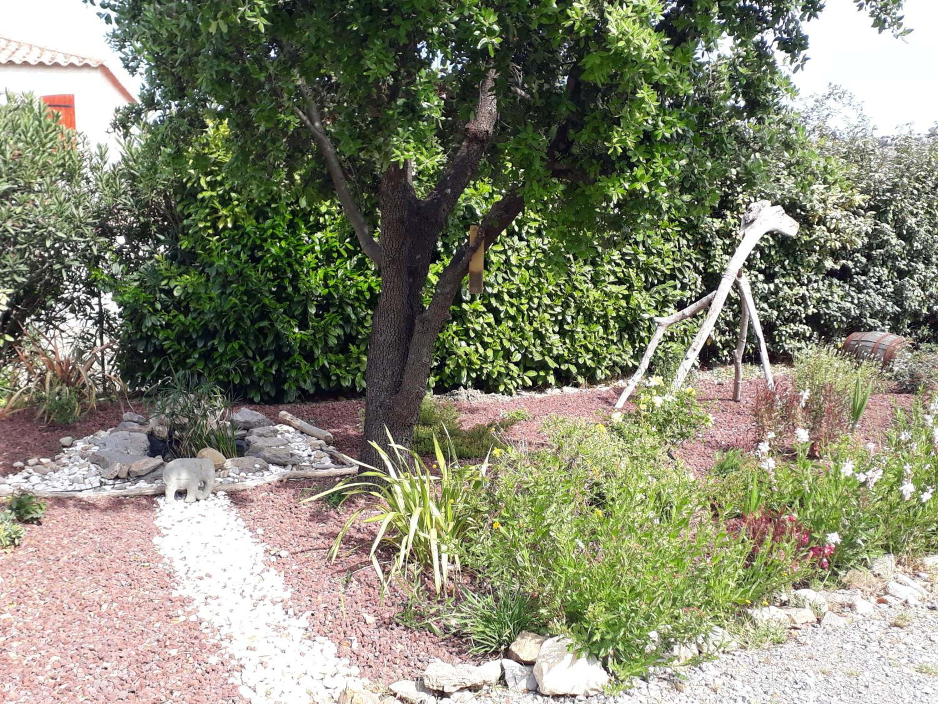 Photo 23