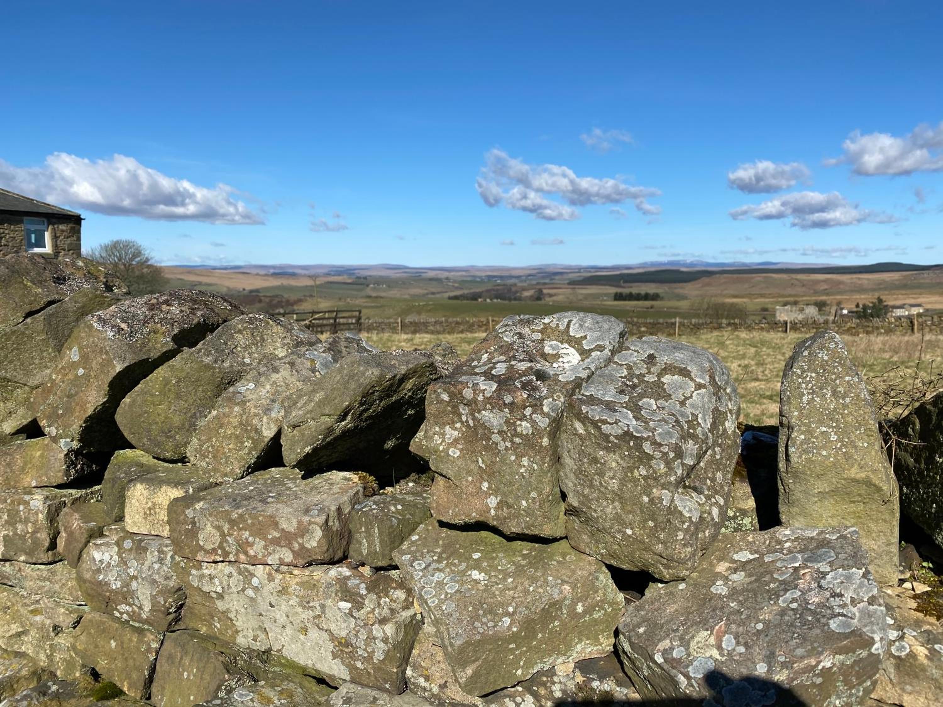 The Gun at Ridsdale