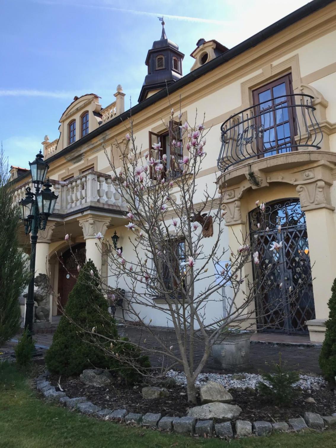 Photo 21