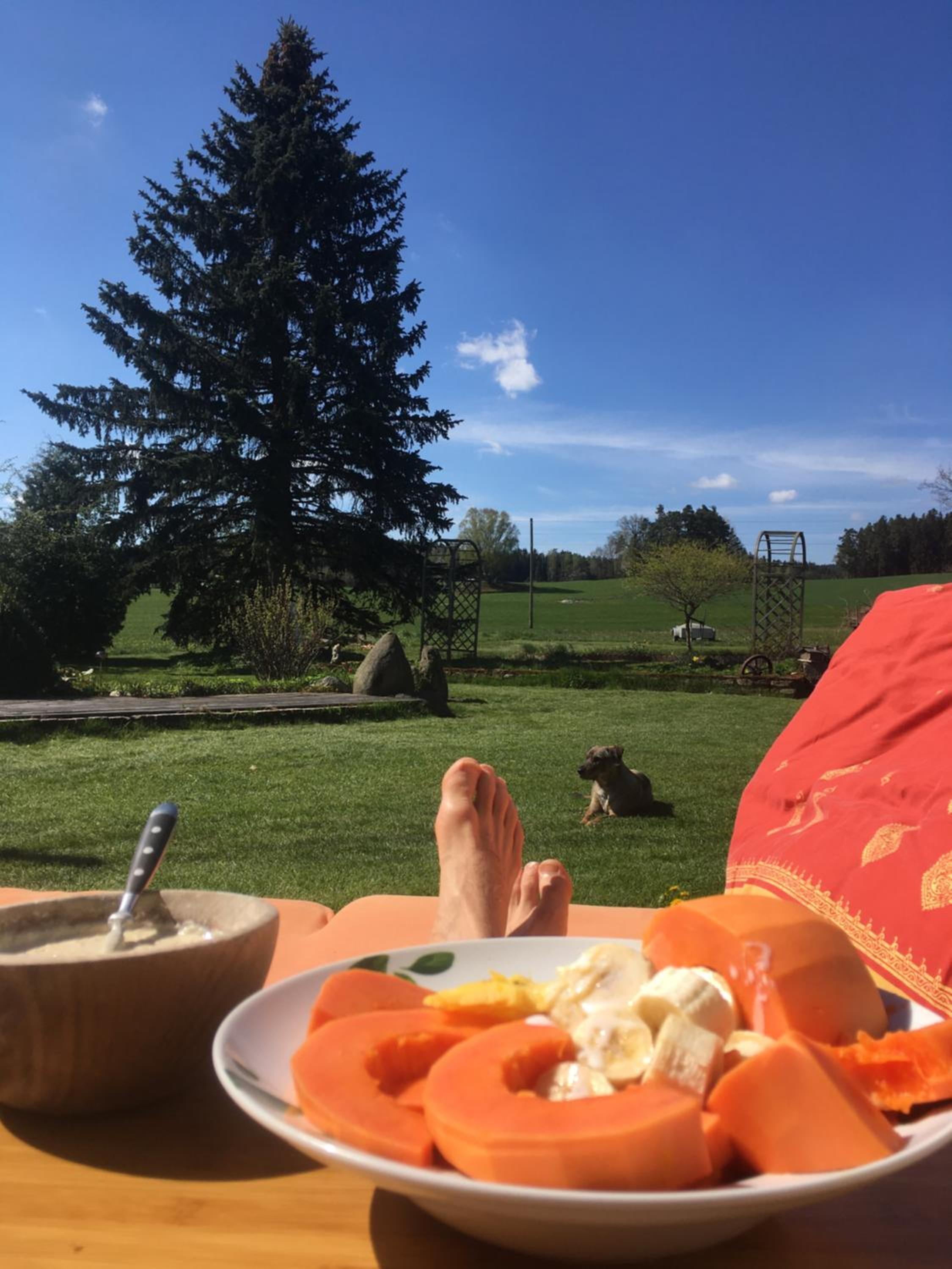 Einzigartige Ferienwohnungen mit 3 und 2 Schlafzimmern