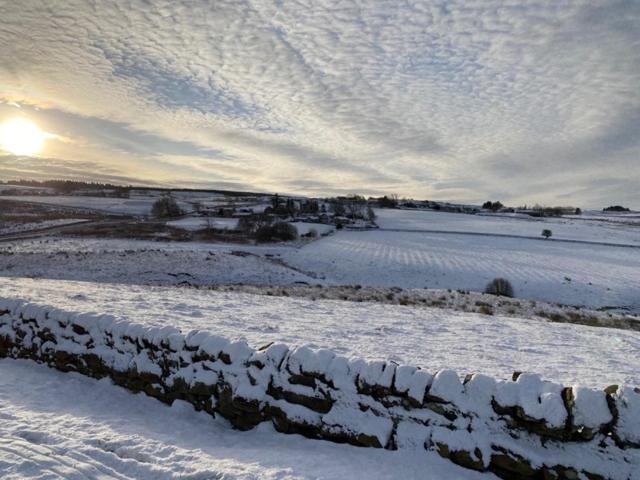 The Gun at Ridsdale