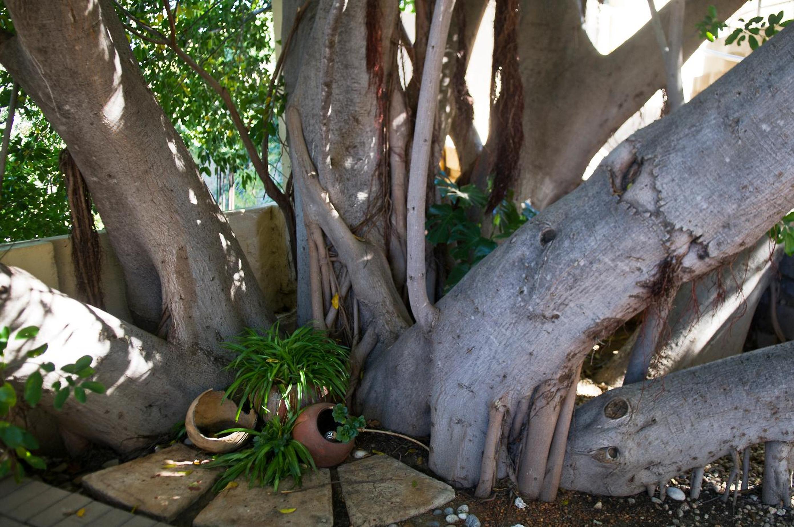 Hotel Pension Casa Africana