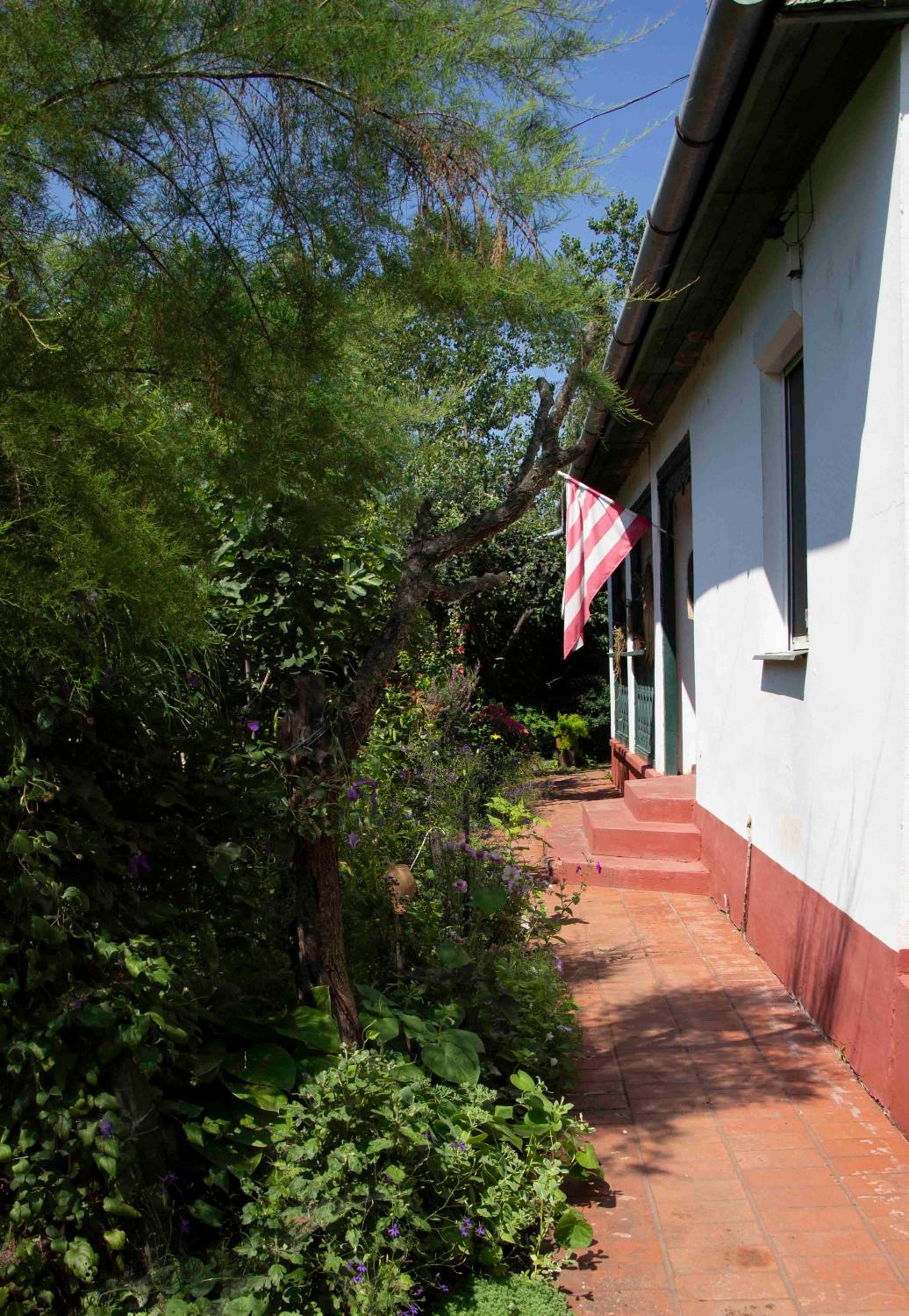 Photo 24