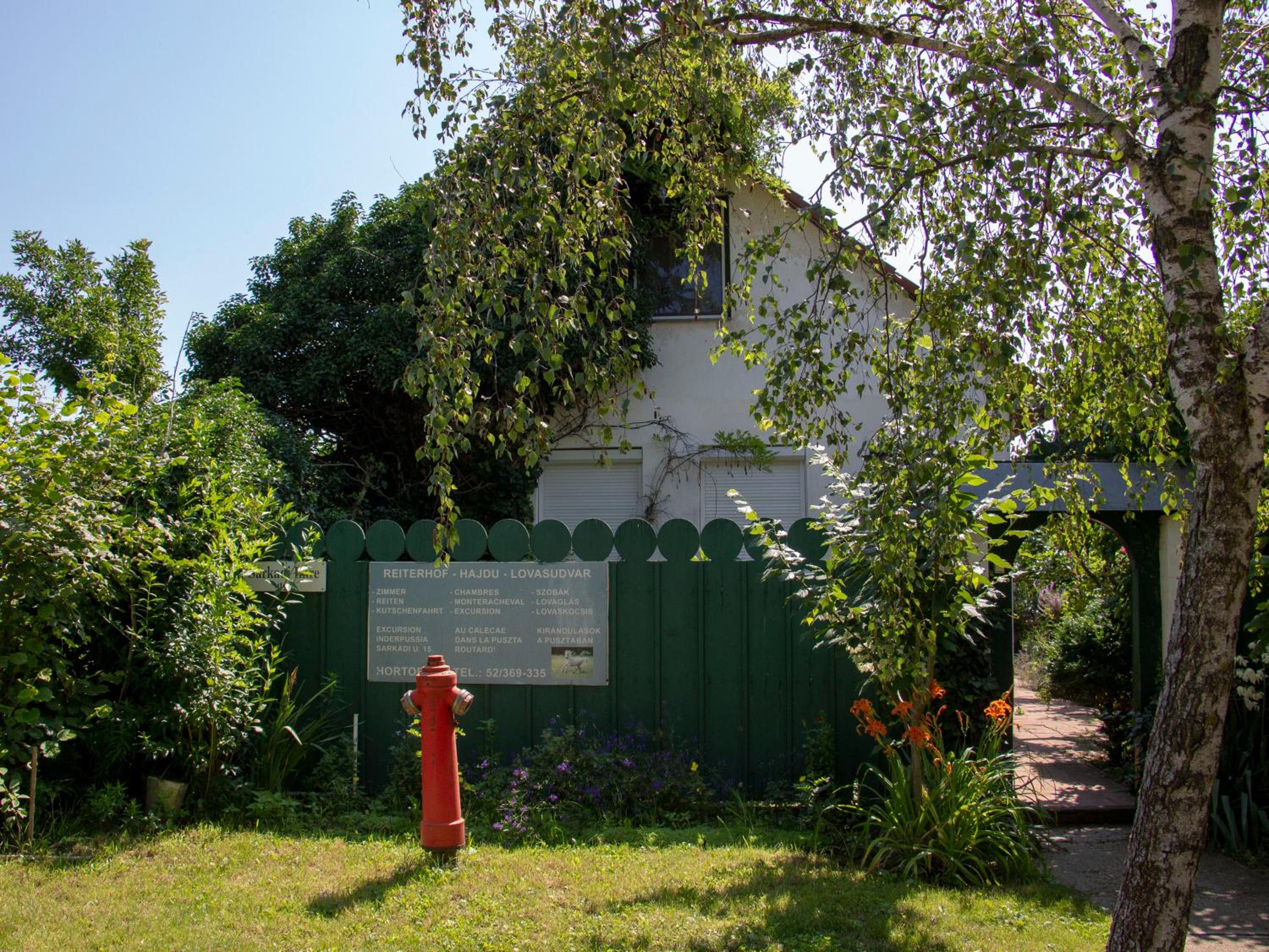 Photo 25