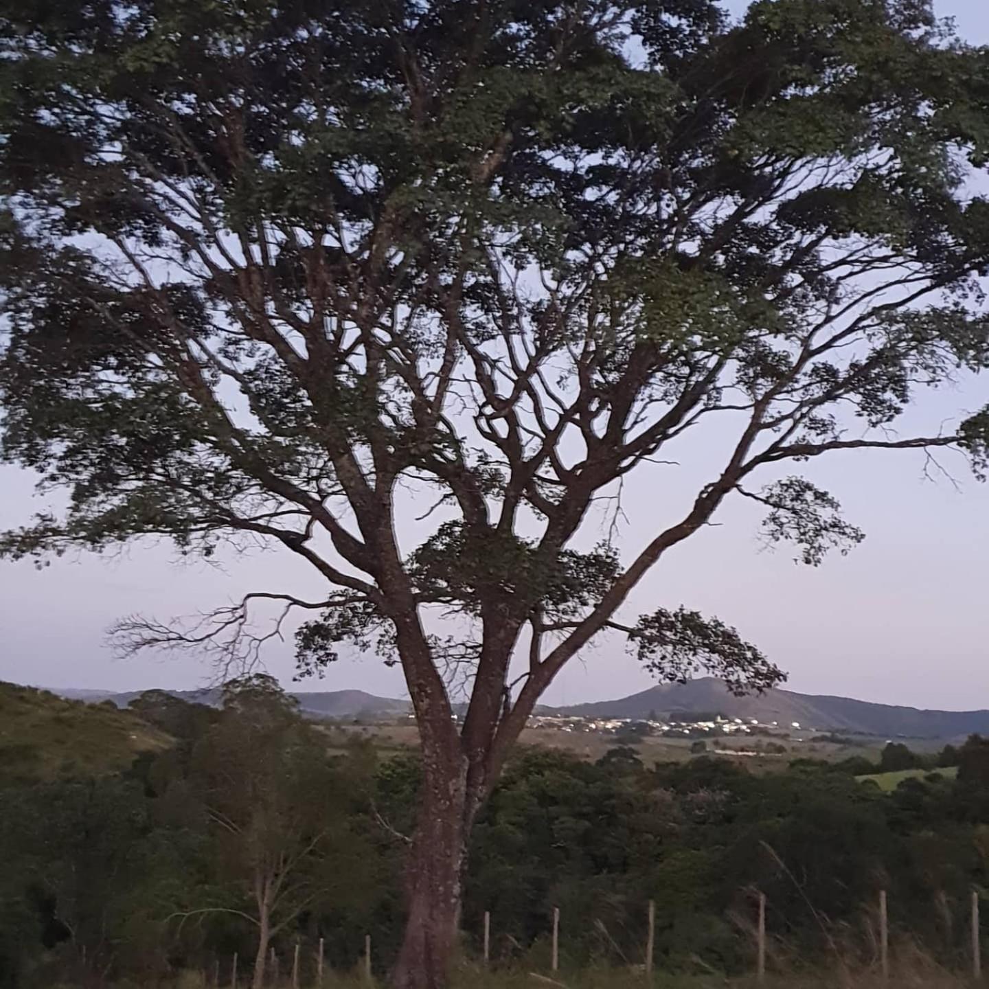 CASA ACALANTA-Trilha das Flores-SERRA DA CANASTRA view 3