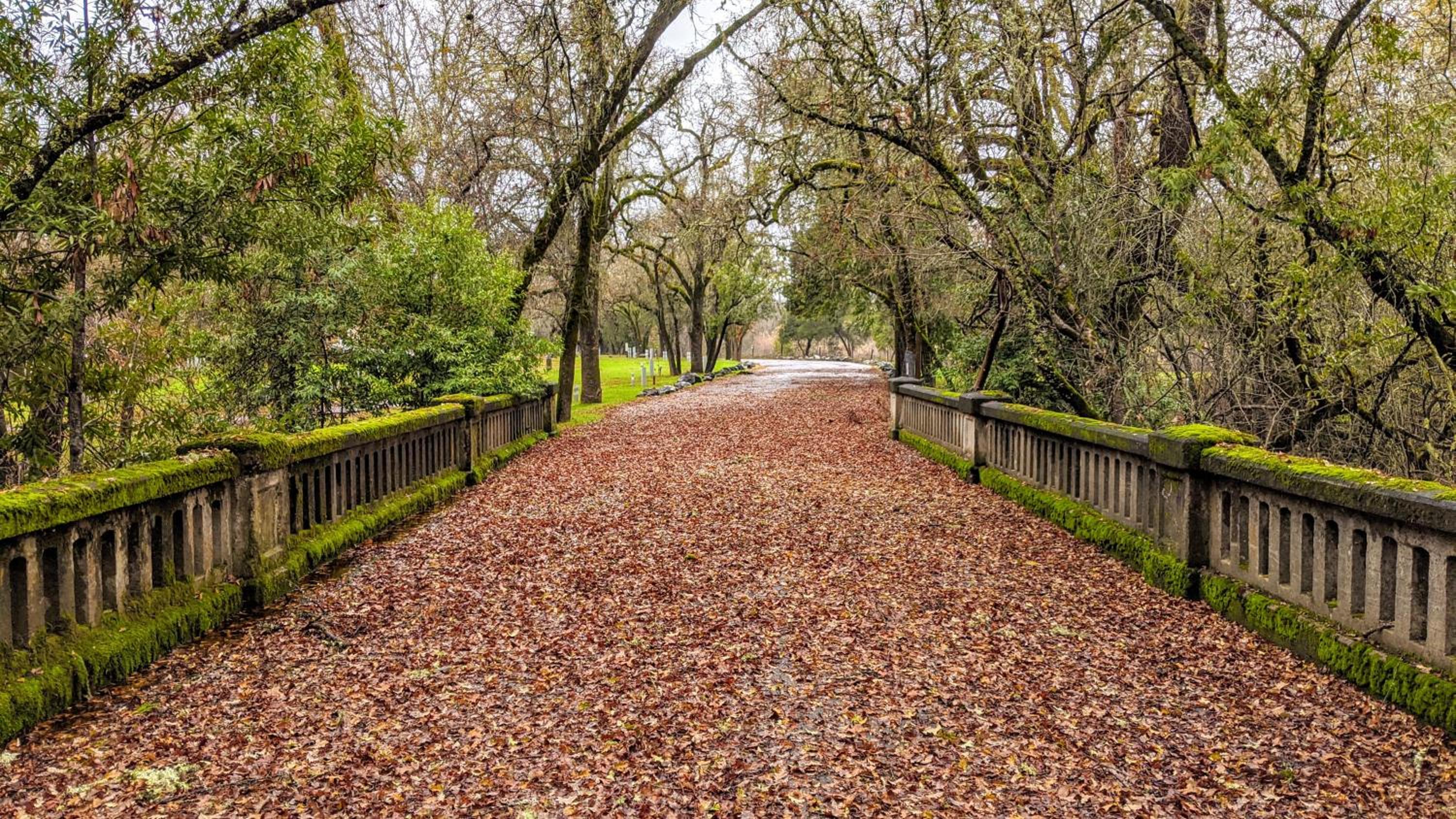 Wildhaven Sonoma Glamping 16