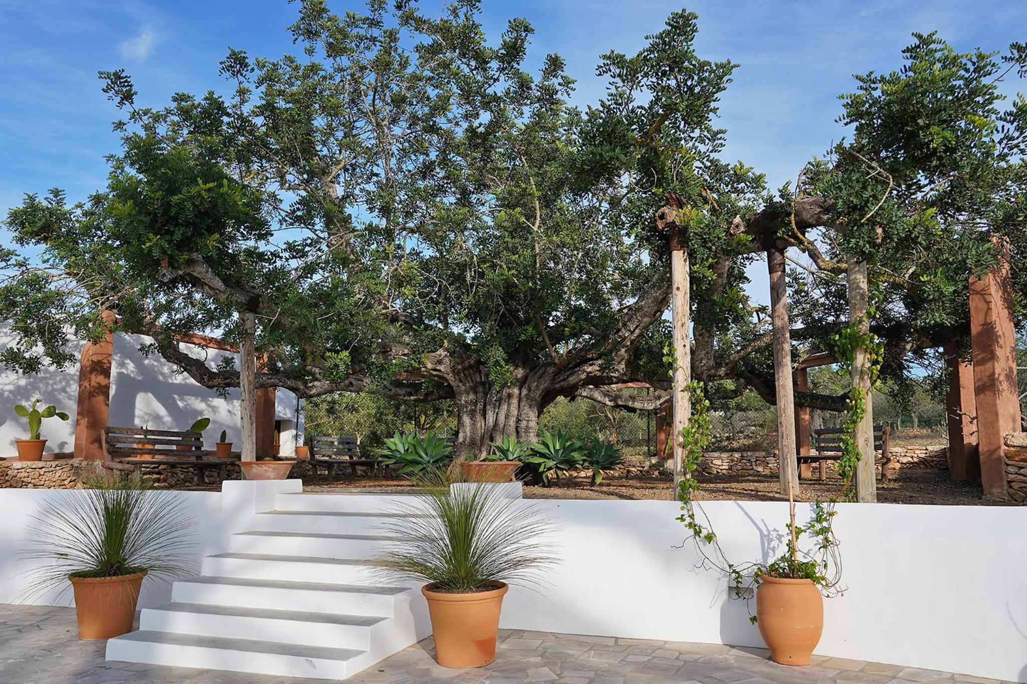 Villa Can Vicent Den Costa view 4