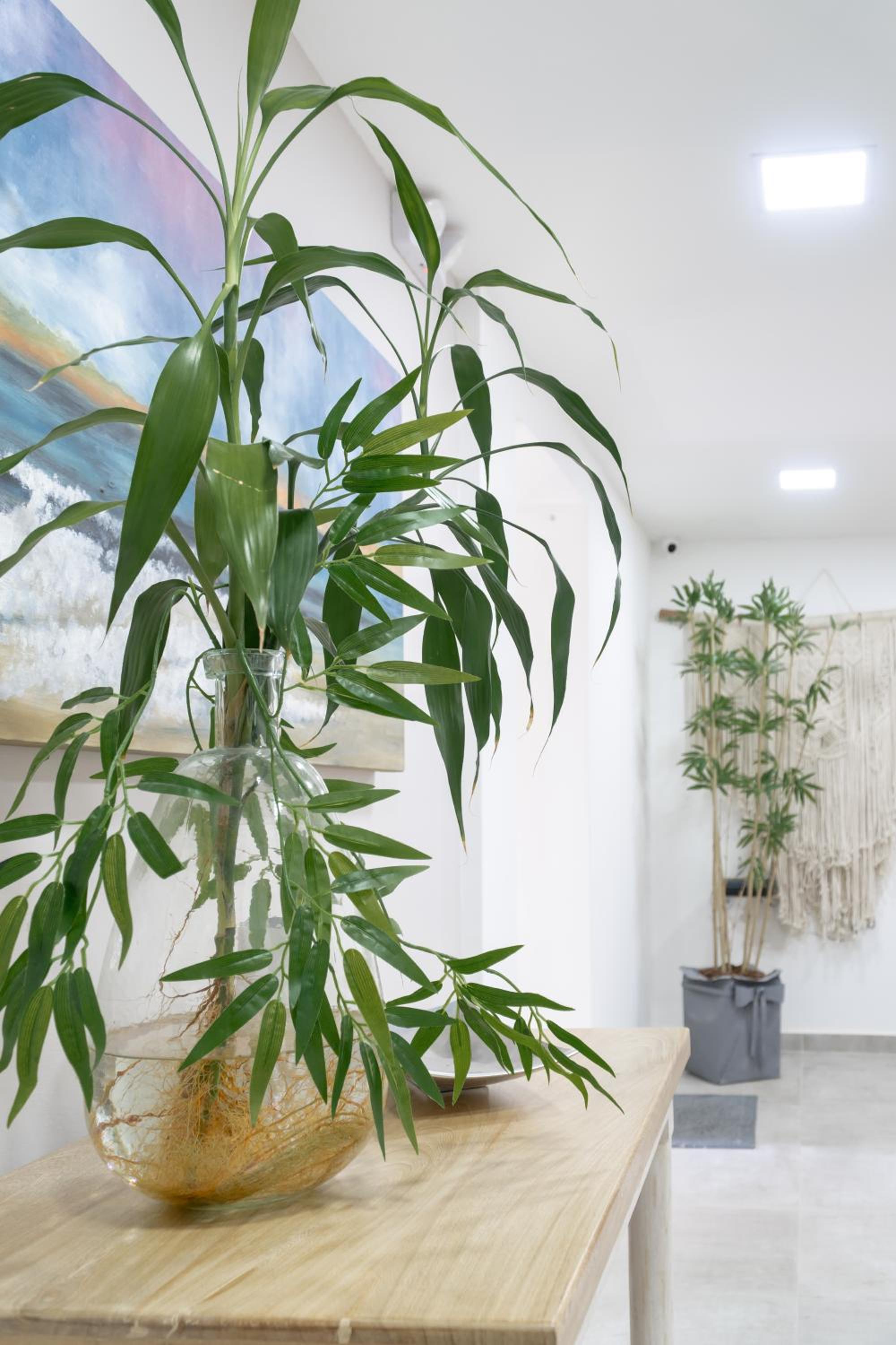 Medellin Vacations - Hotel Bambu Milla De Oro - Property Image 50