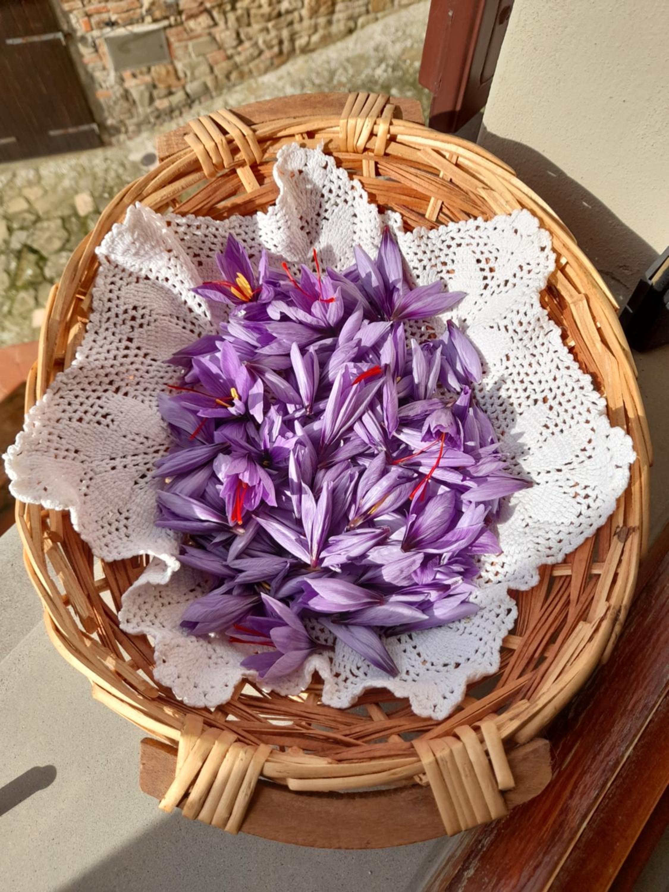 Antica Bottega di Vinci