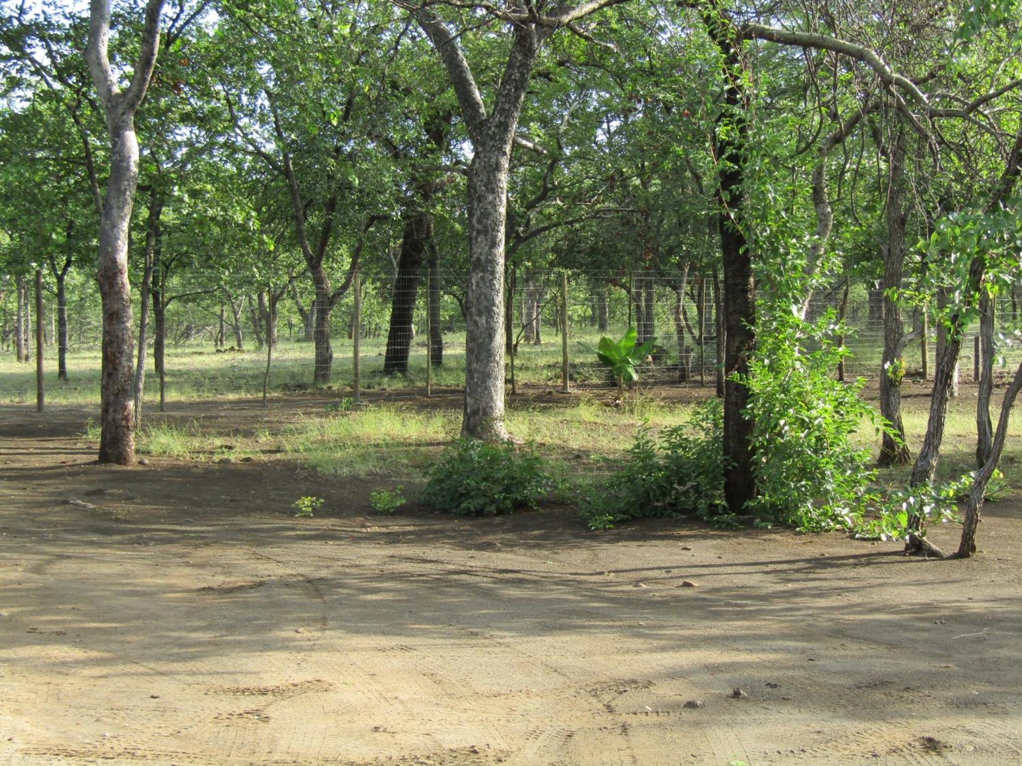 Pafuri Gate Guesthouse view 2