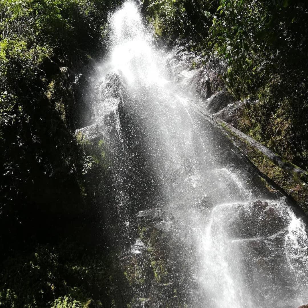 Navarro mountain