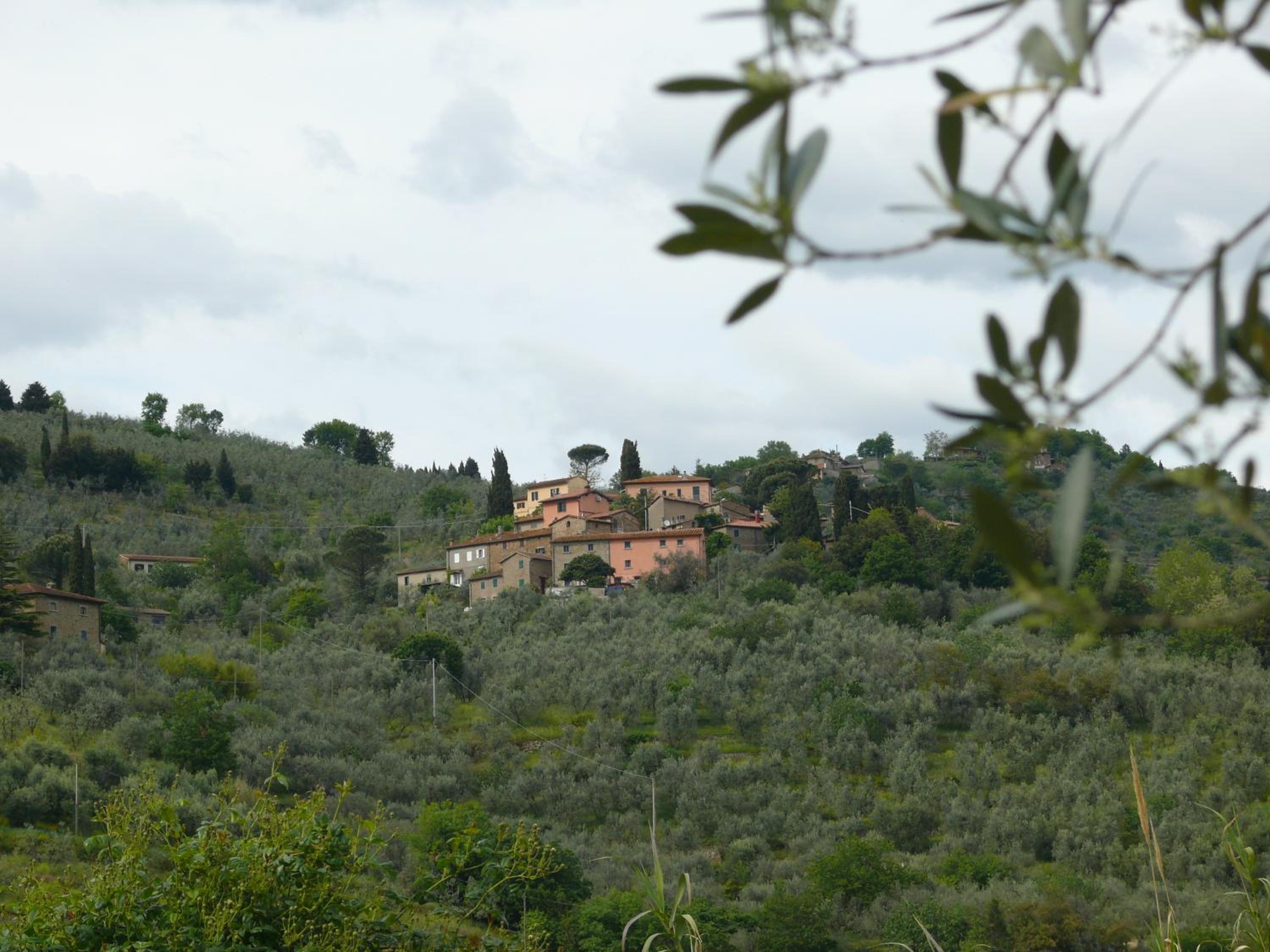 Antica Bottega di Vinci