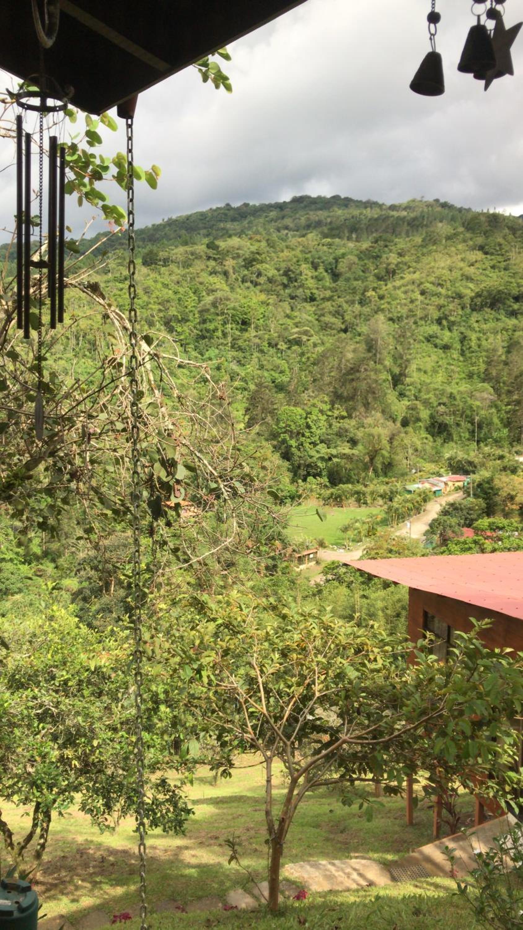 Navarro mountain