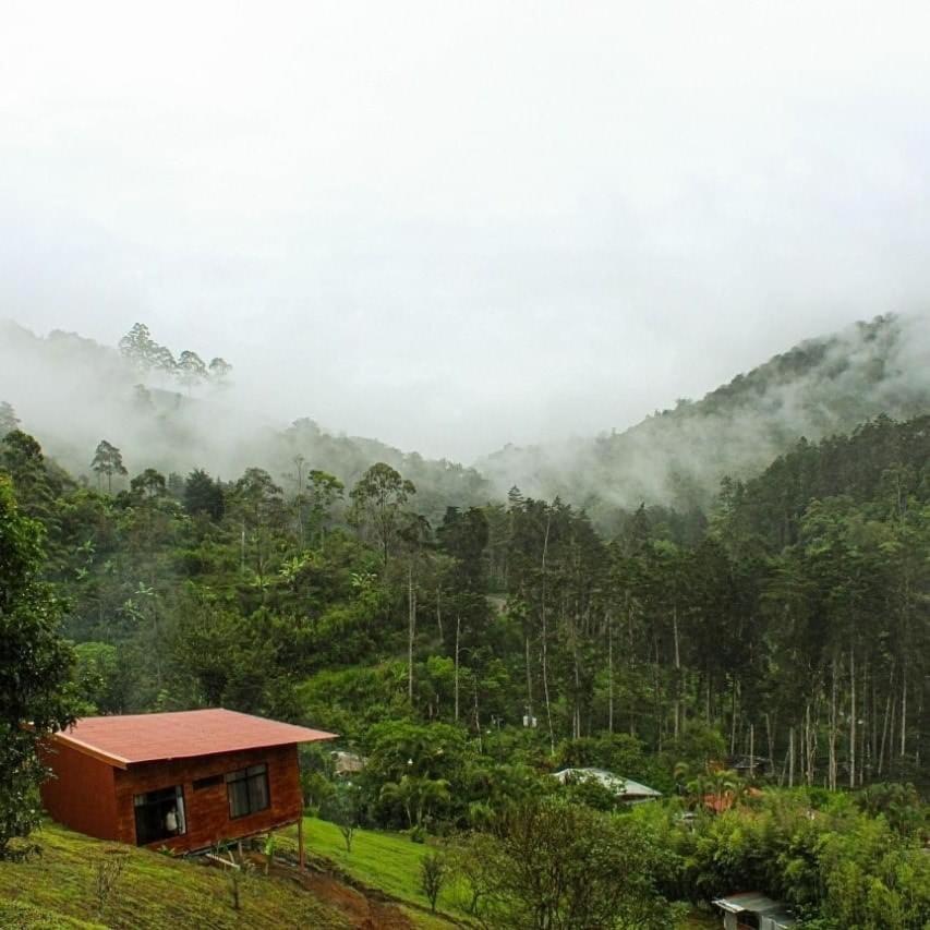 Navarro mountain