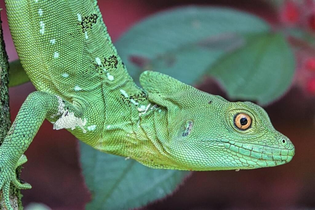 Into the Greens