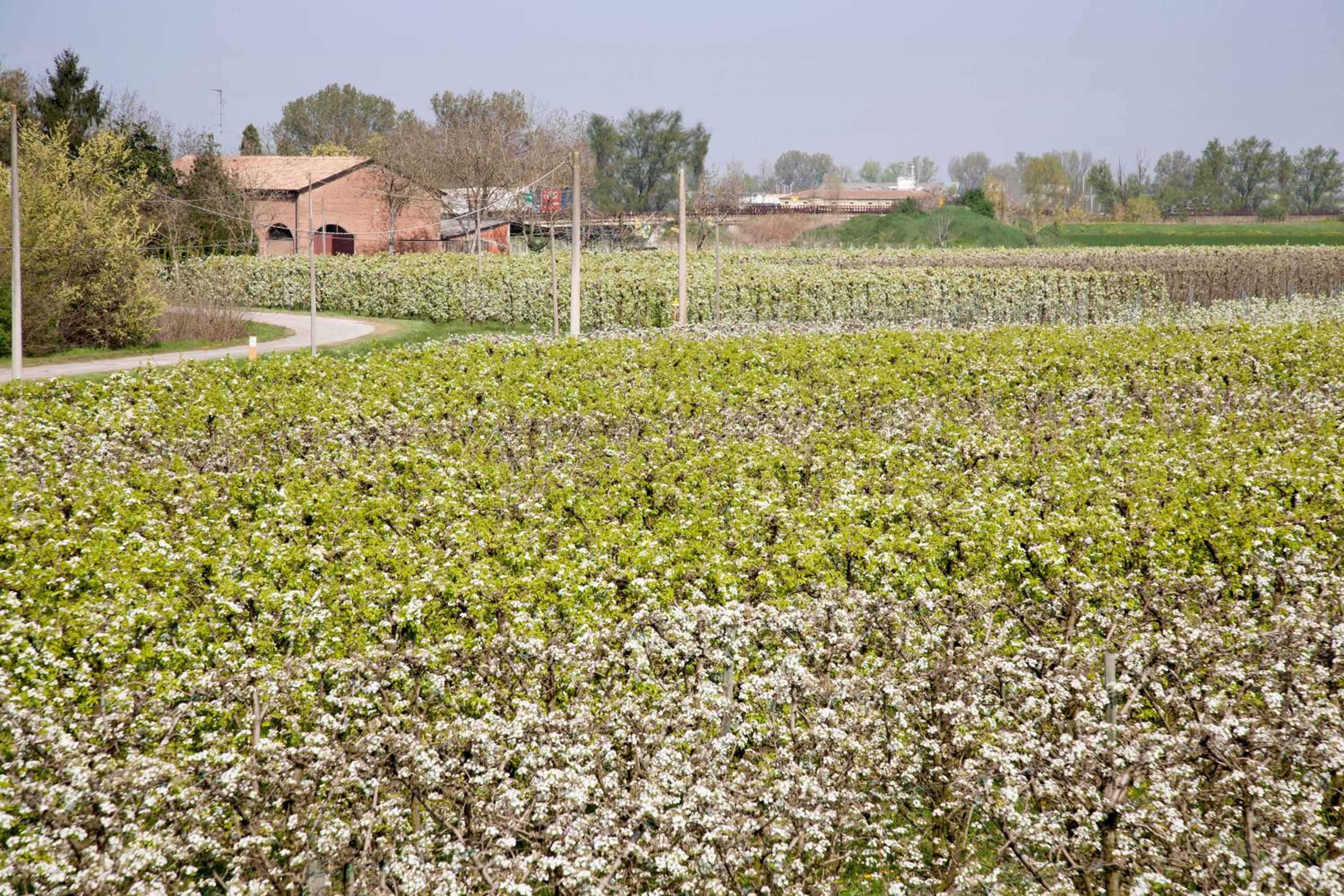 Agriturismo Dosso al Porto