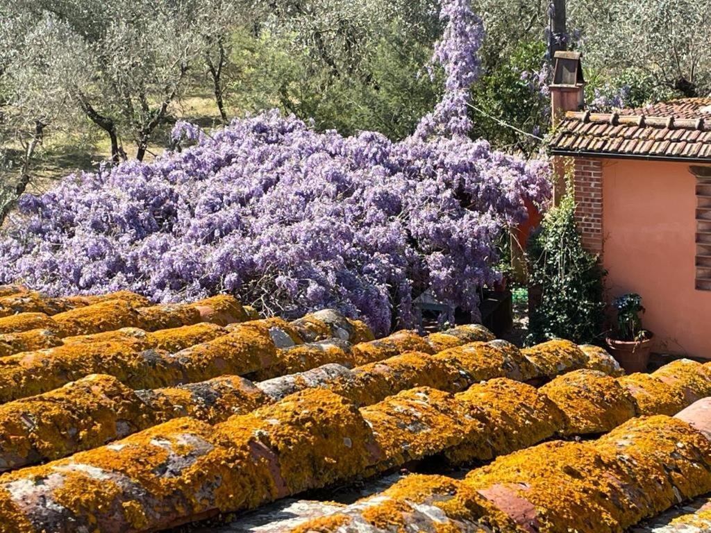 Agriturismo Podere Marchiano
