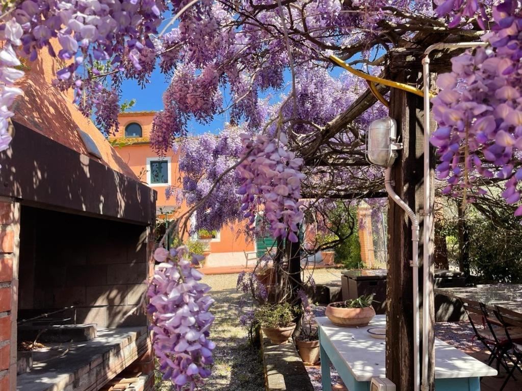 Agriturismo Podere Marchiano