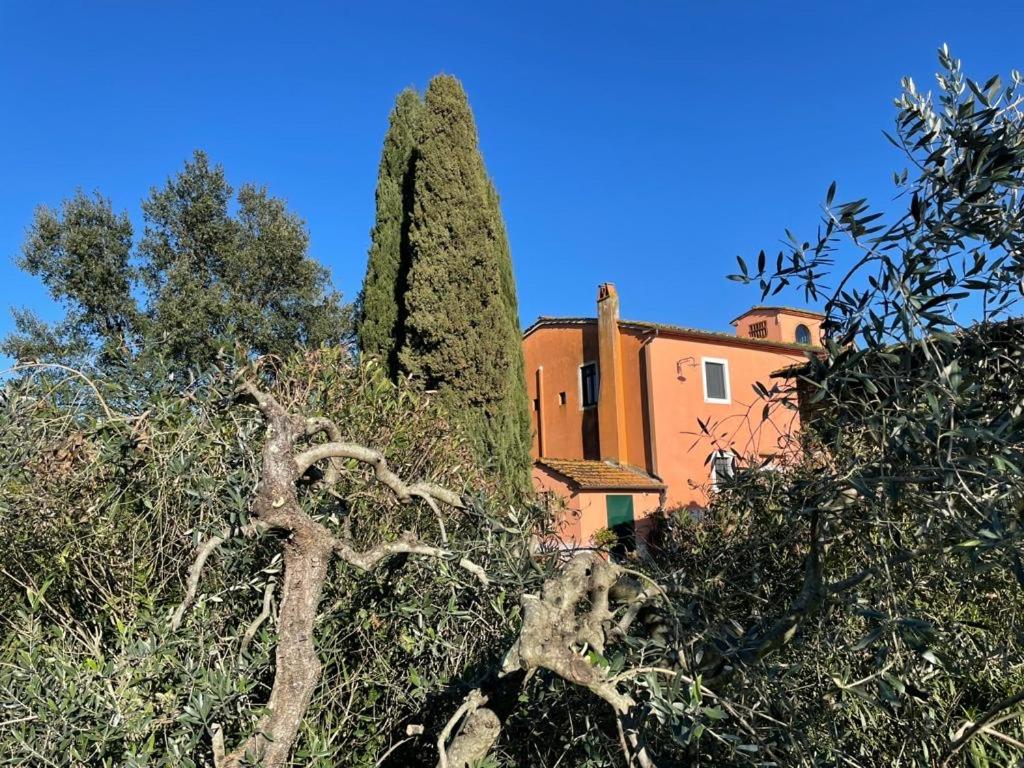Agriturismo Podere Marchiano