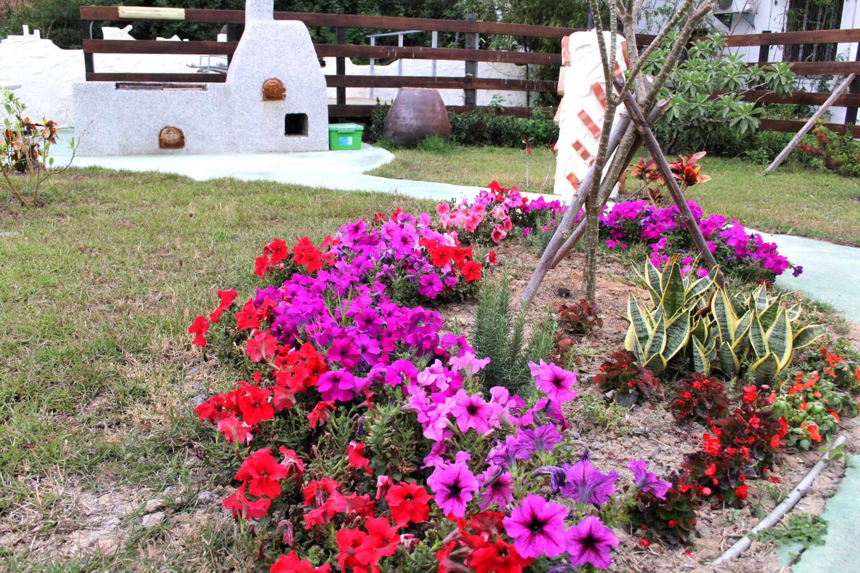 Photo 10