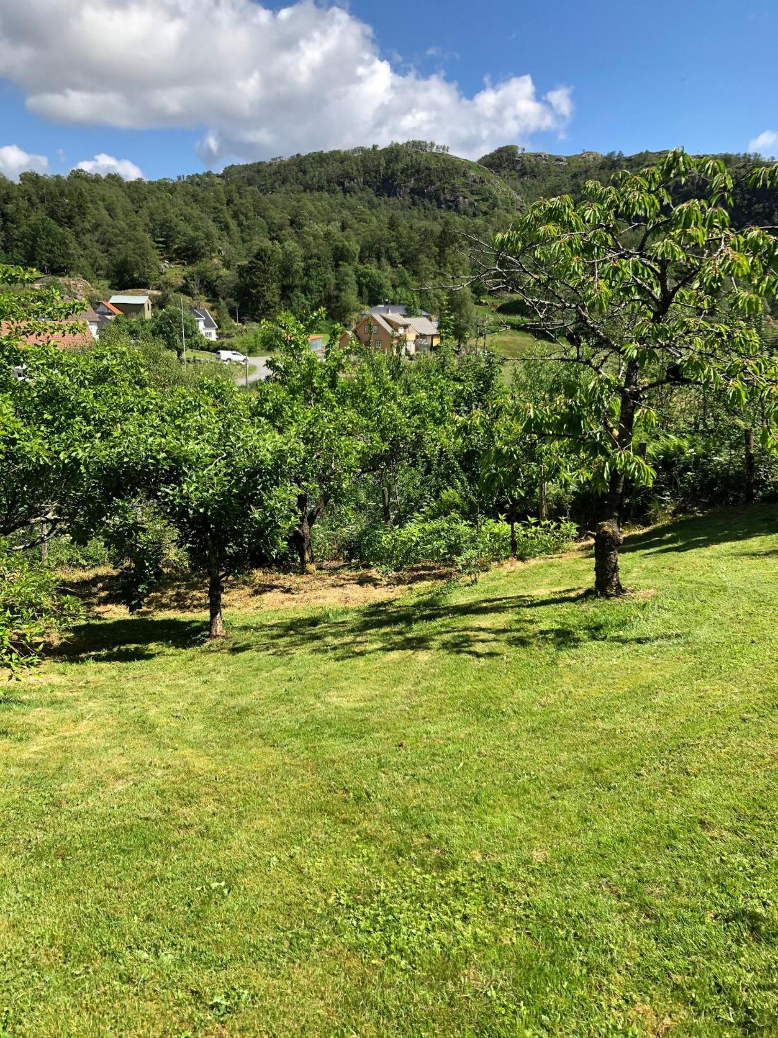 Photo 14