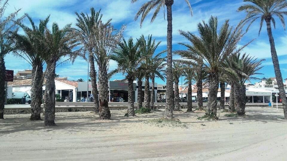 Javea Park 6-32 photo 5