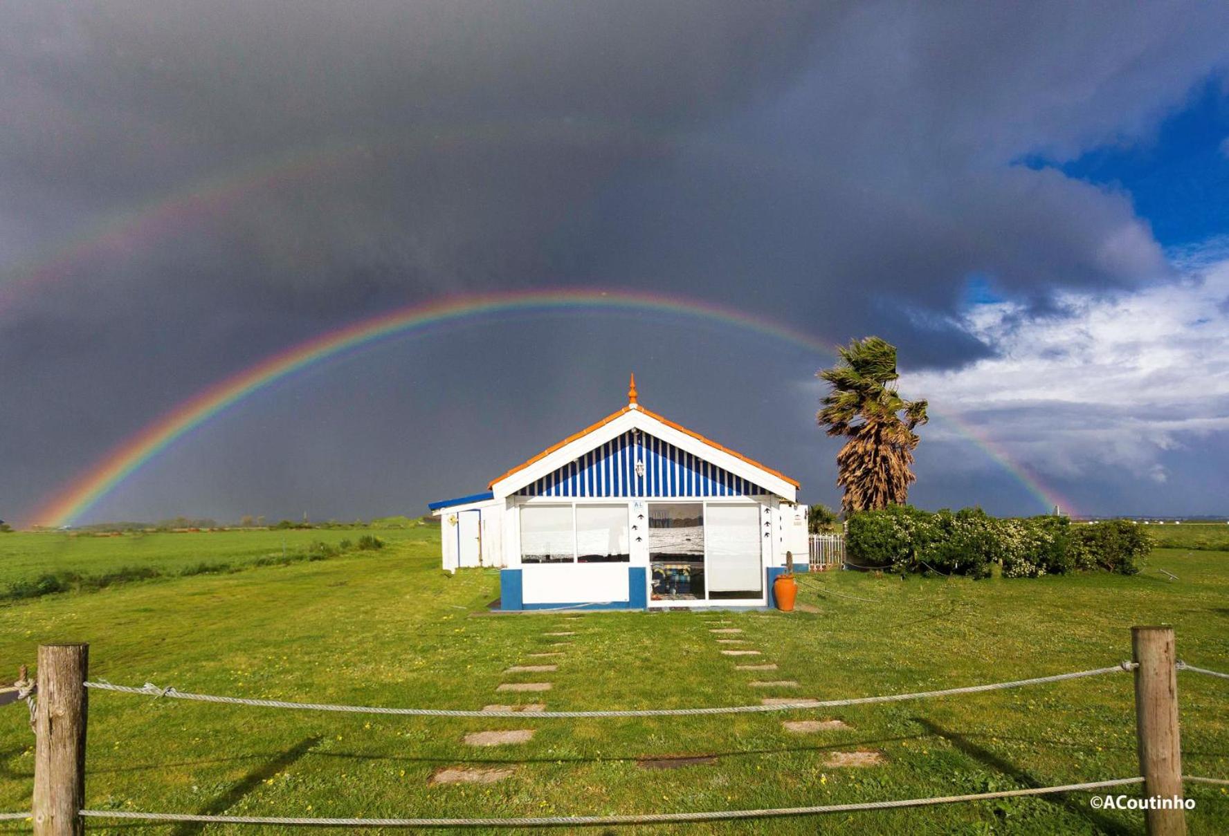 Casa dos Flamingos