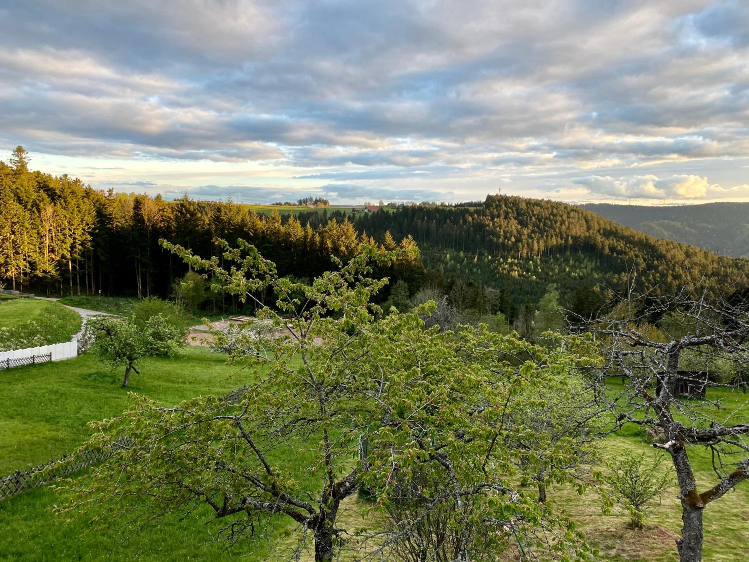 Ferienhaus mit 5* Luxus im Schwarzwald