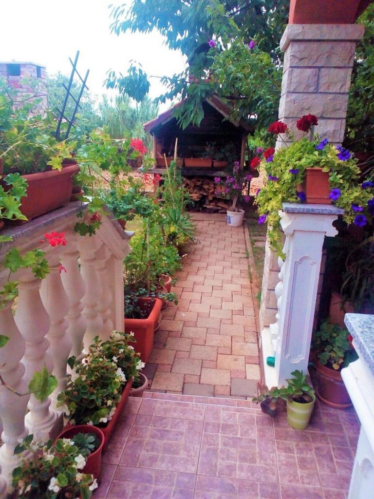 Apartments Anto
