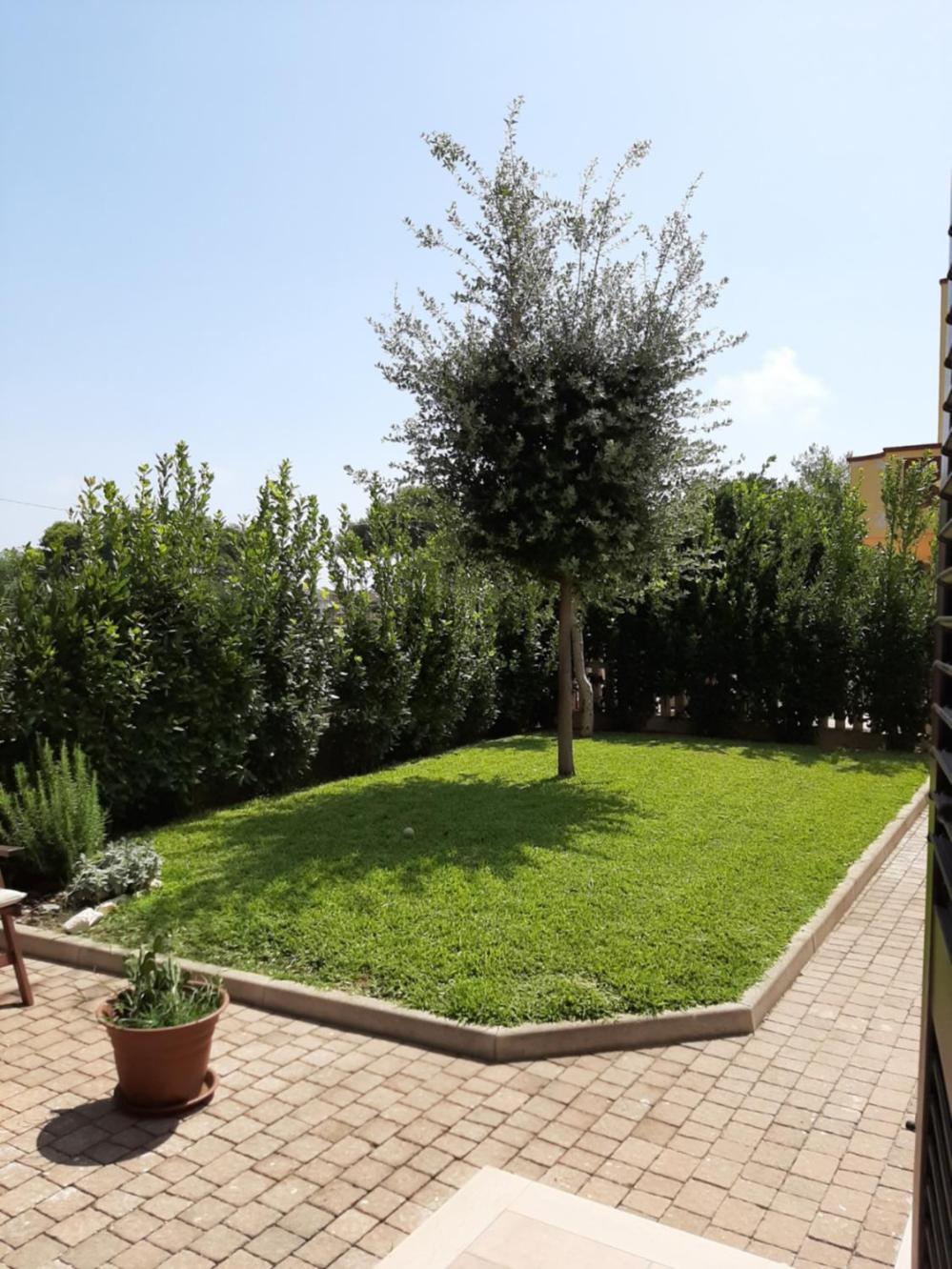 Casa del Leccio photo 2