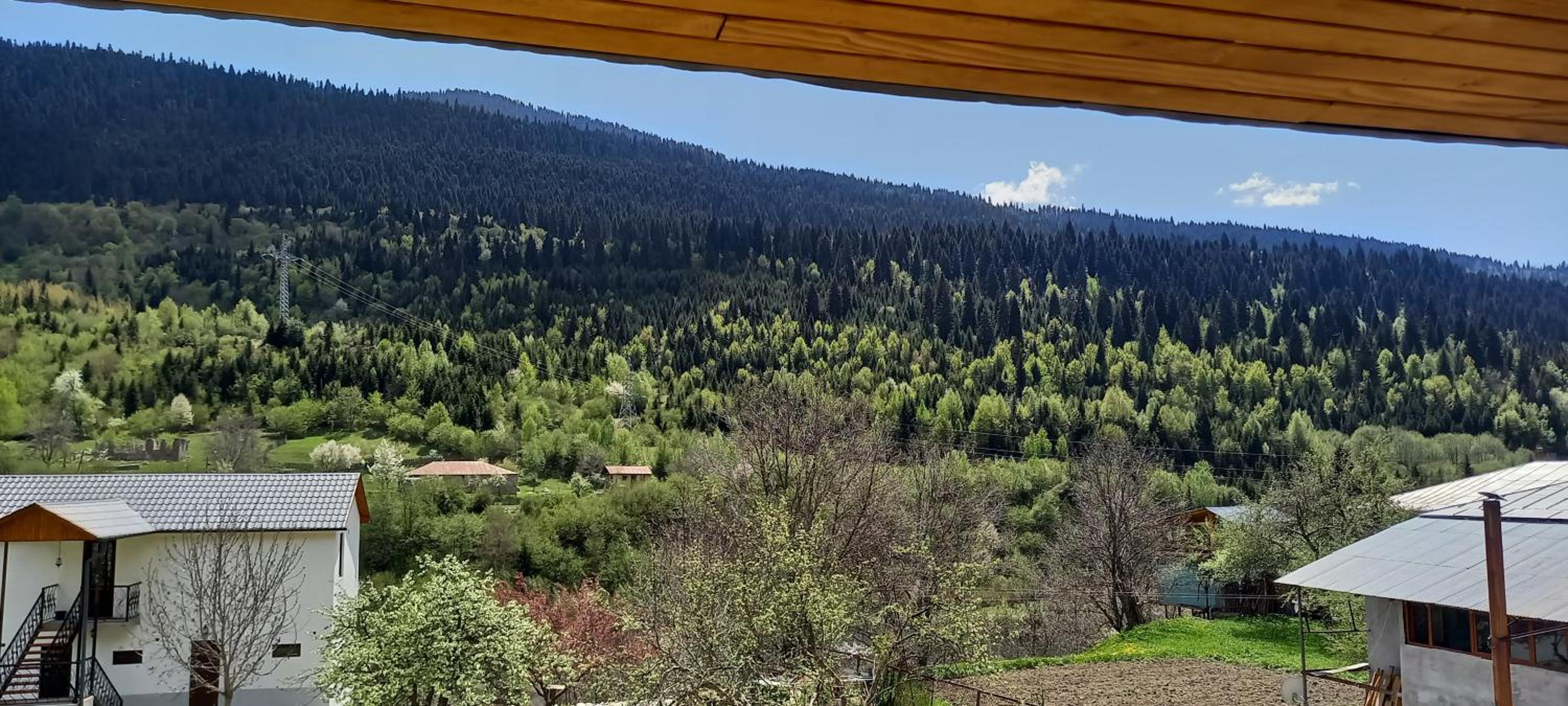 Lisaneli view 3