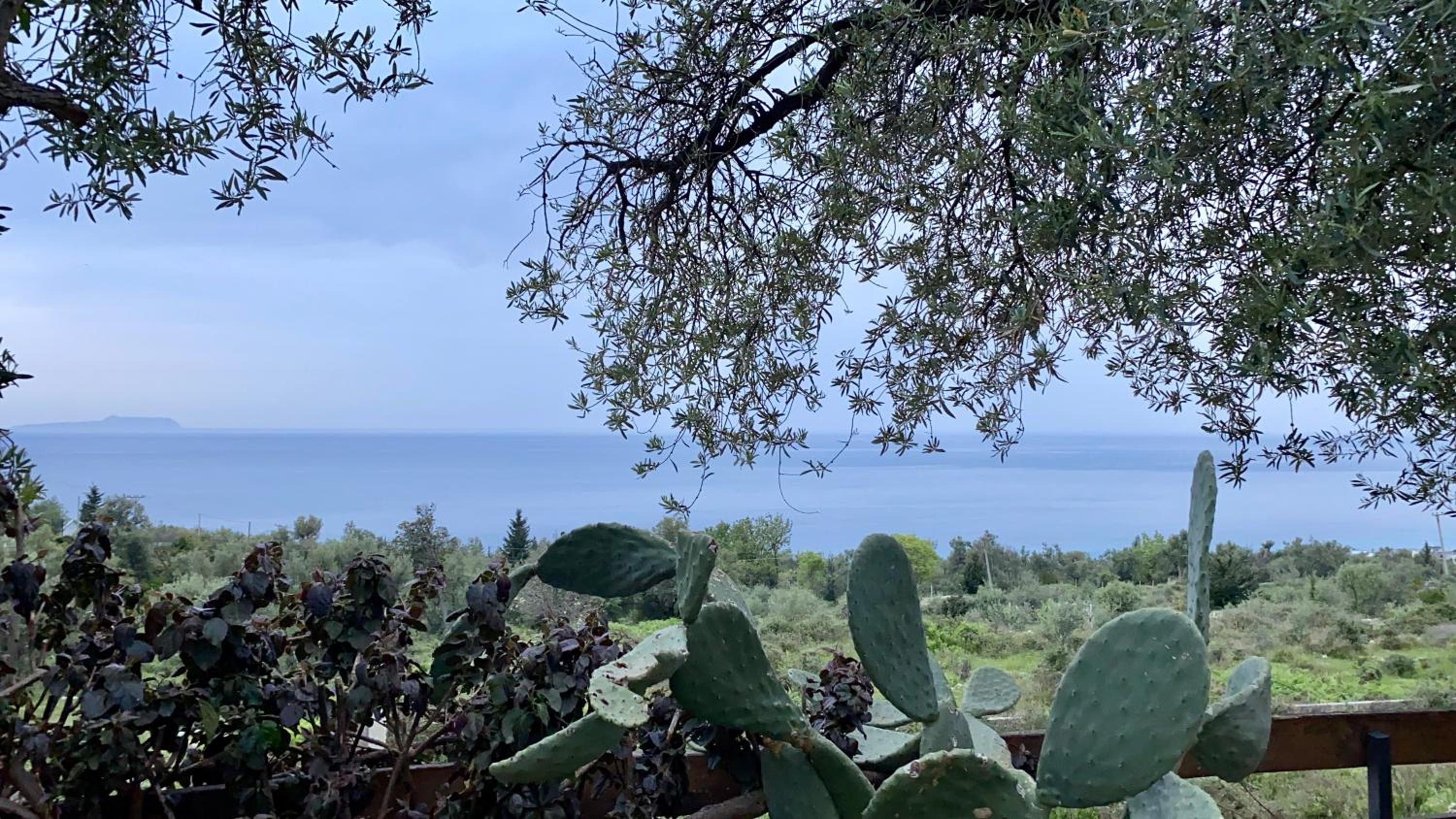 Olives Terrace B2A5 Apartment