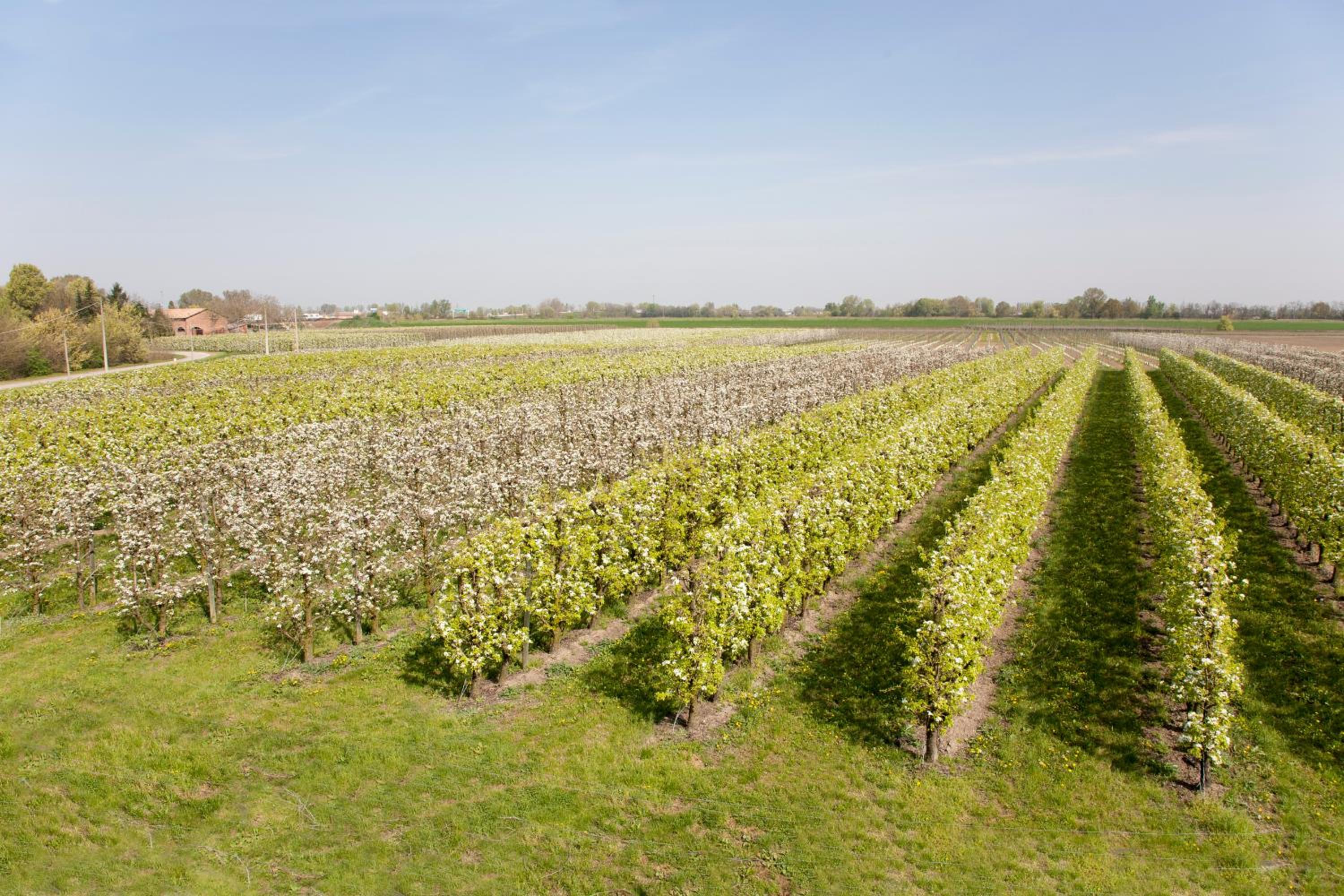 Agriturismo Dosso al Porto