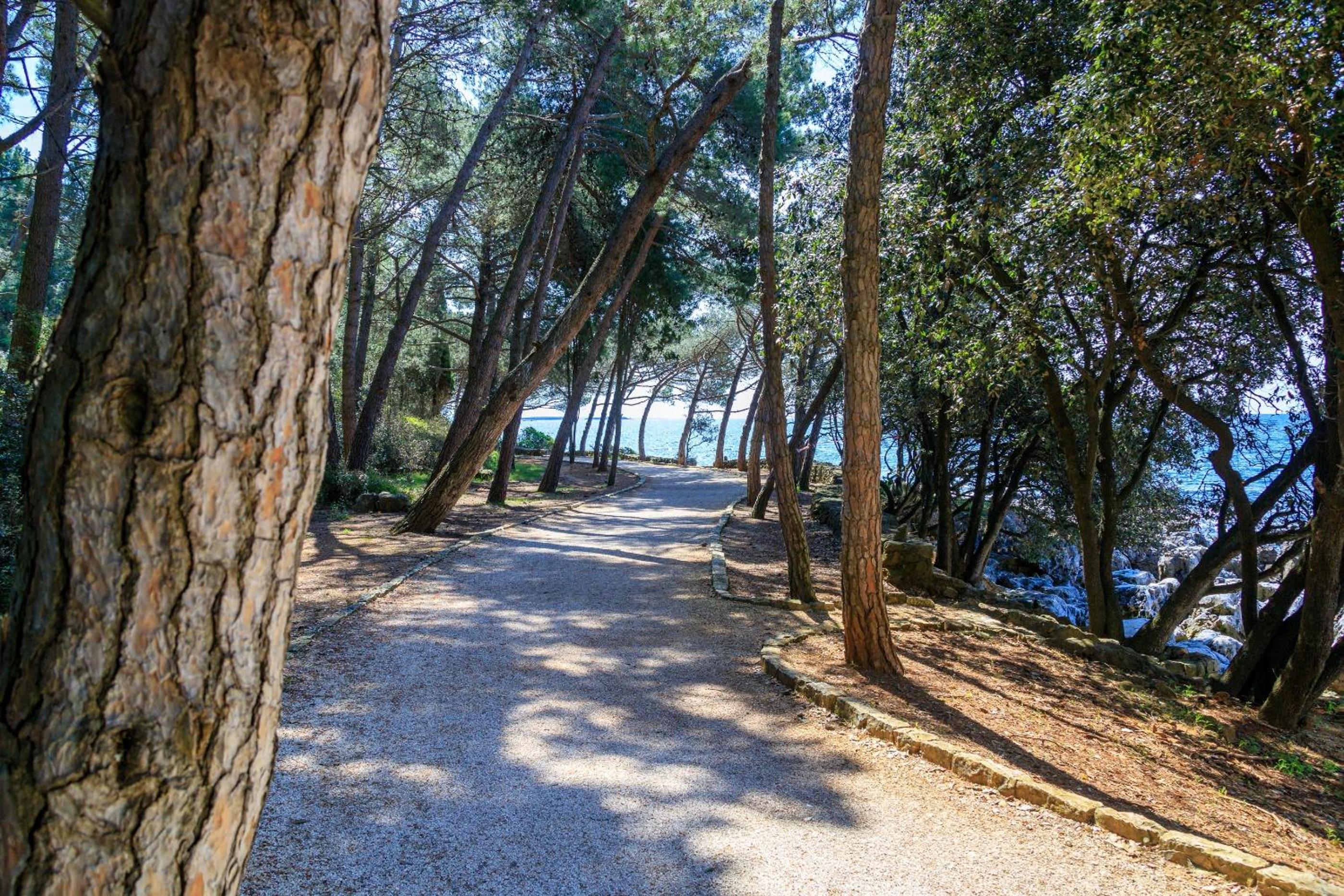 Cuvi Beach Apartments
