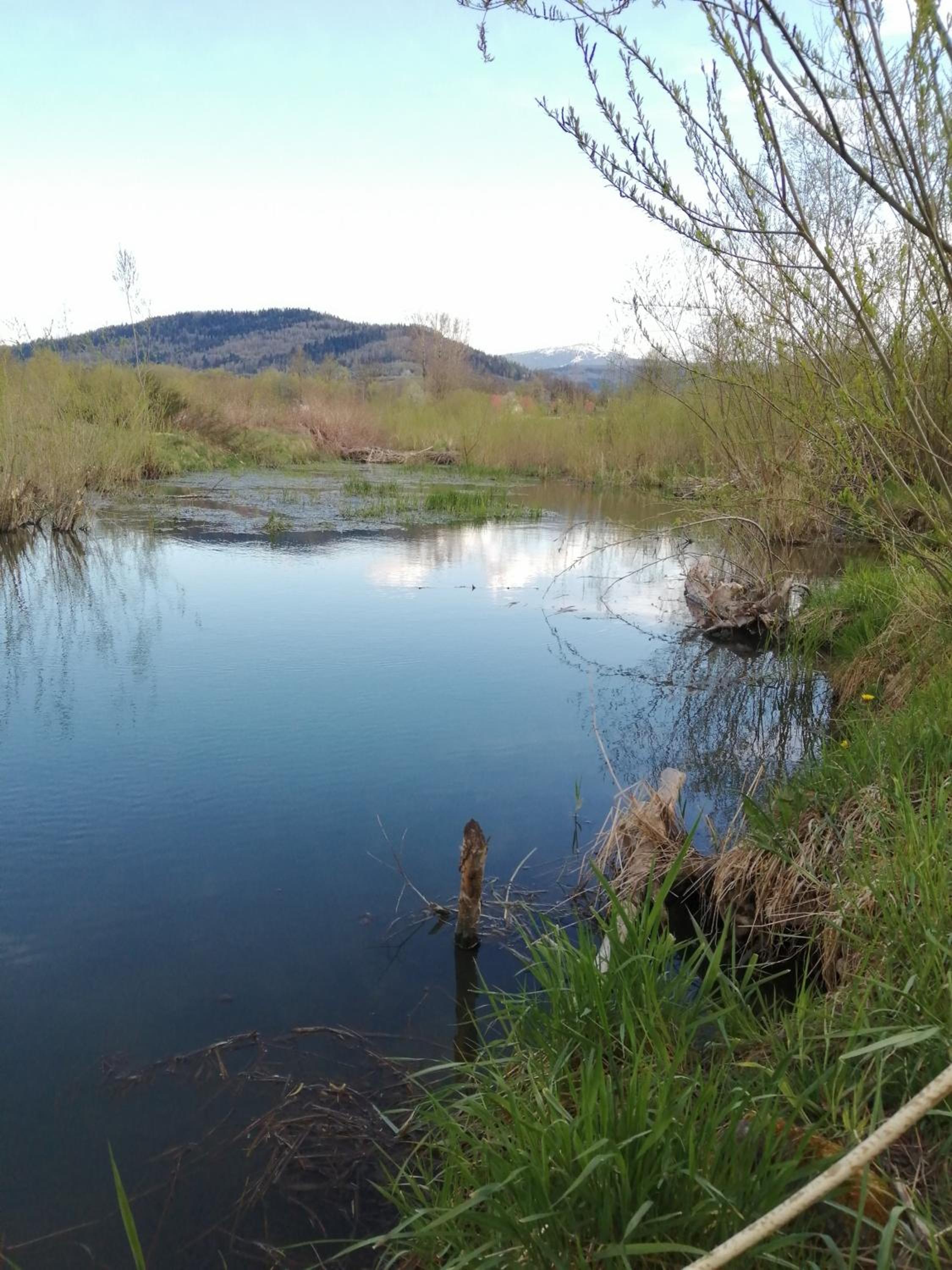 Photo 42