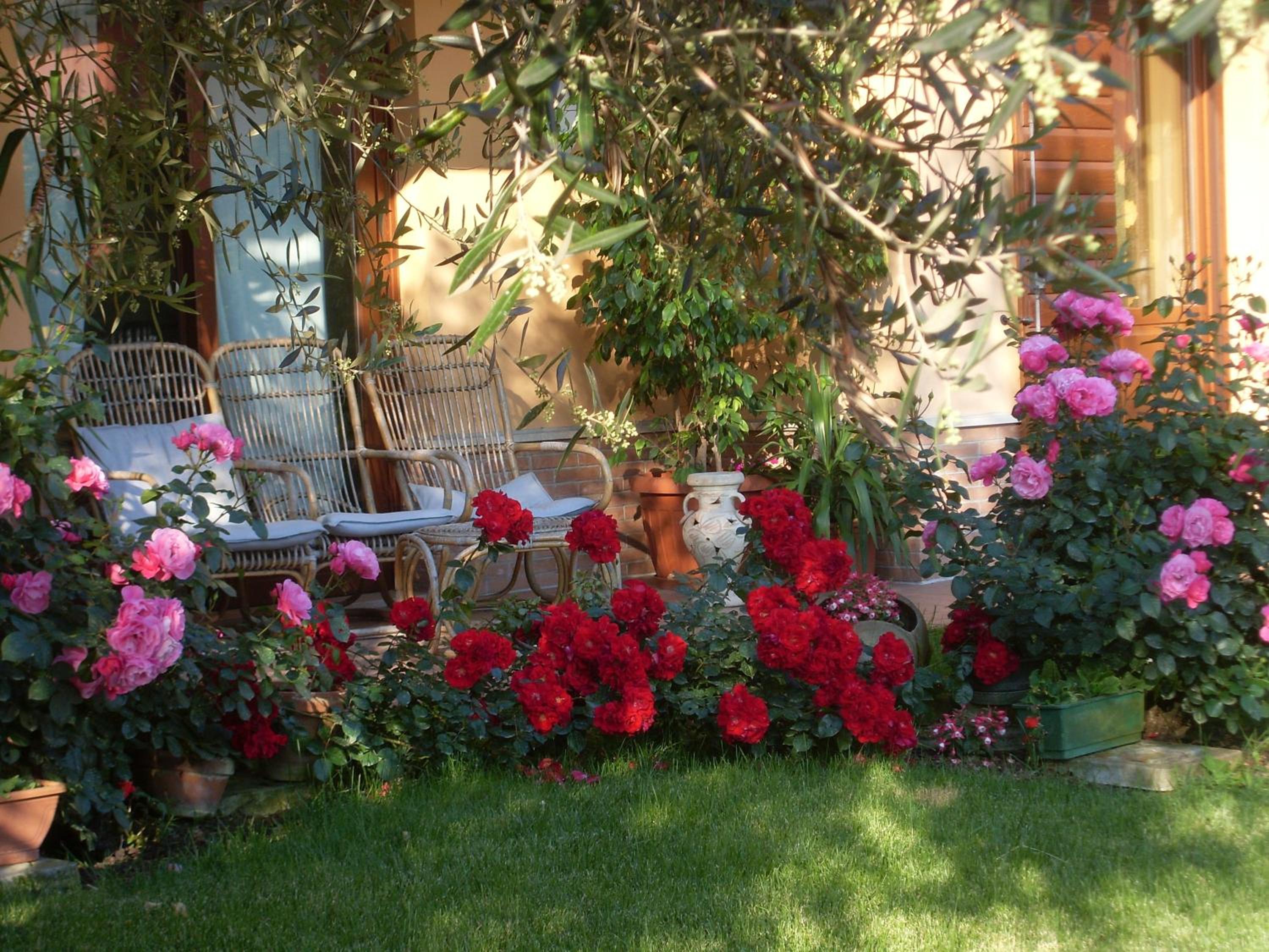 Photo 16