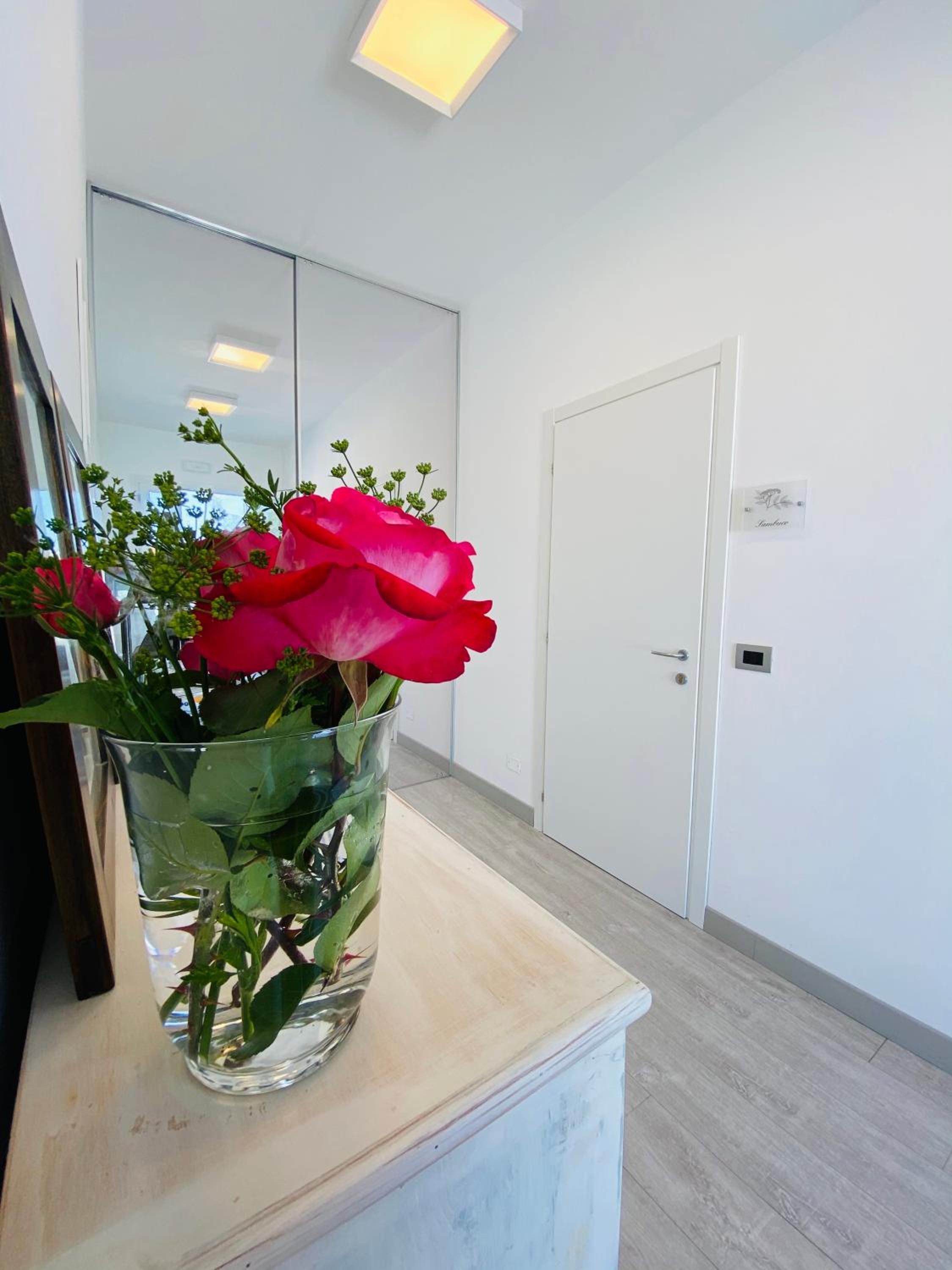 Green House in campagna - Property Image 13