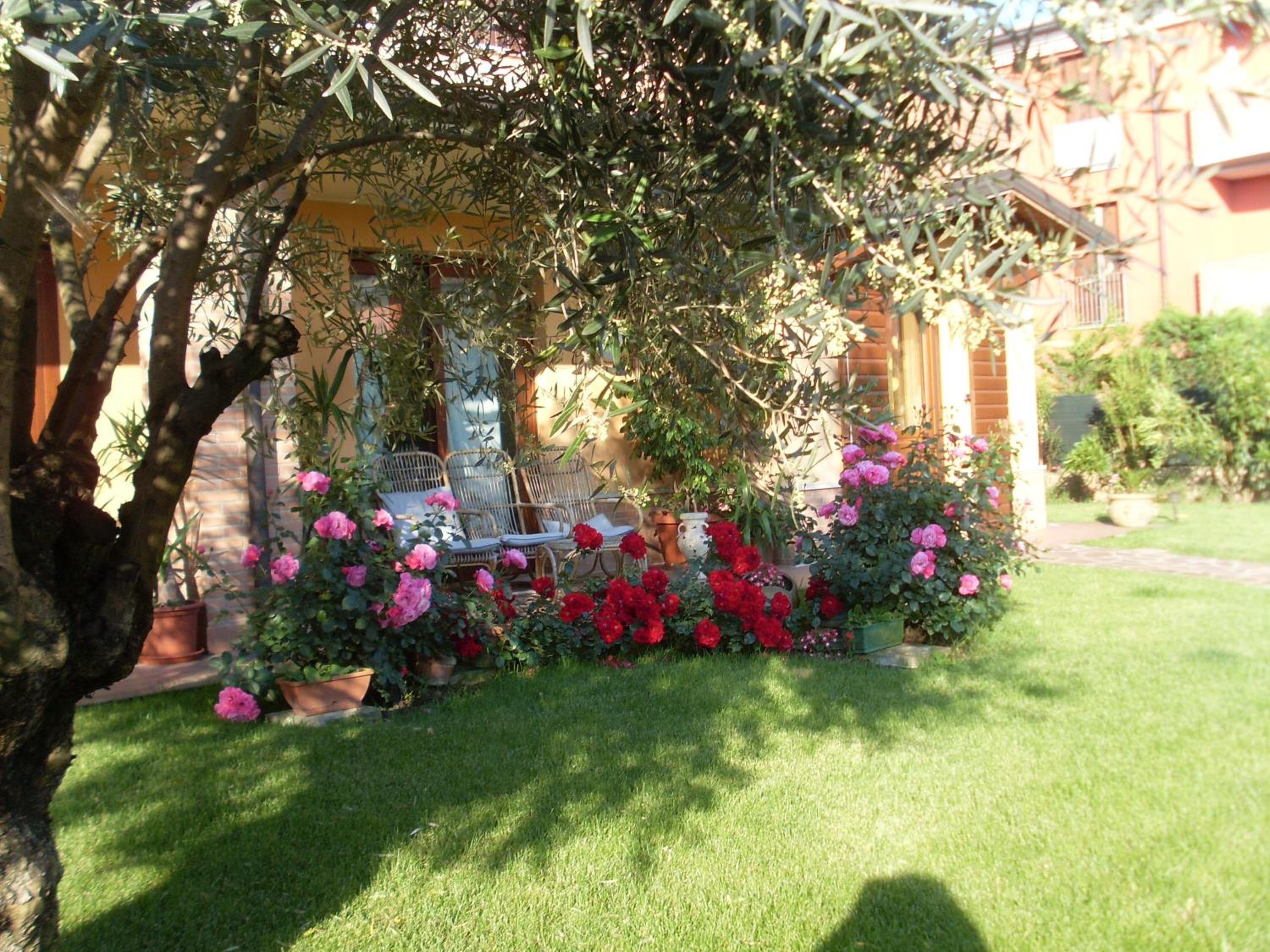 B&B La Dimora delle Calendule view 2