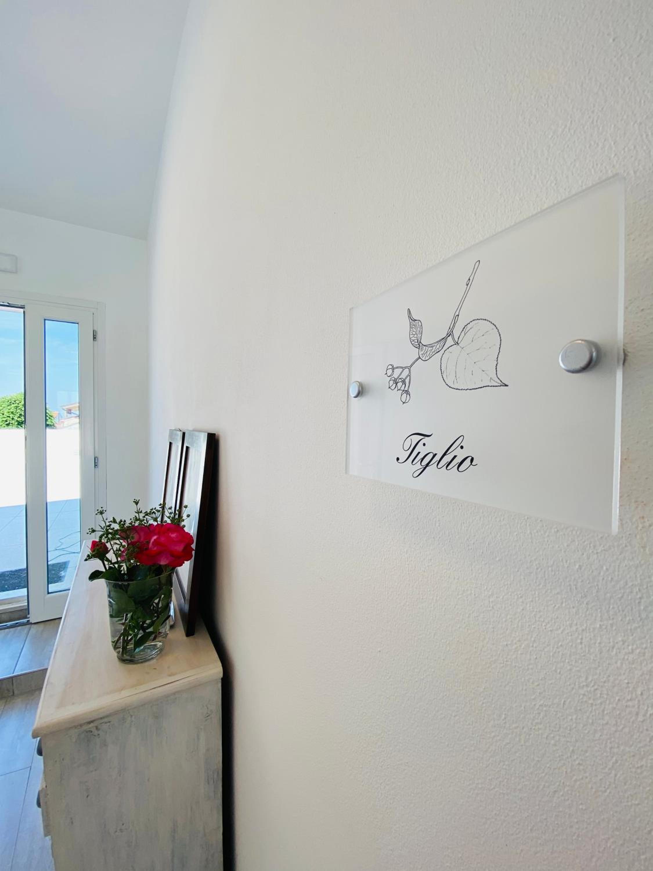 Green House in campagna - Property Image 87