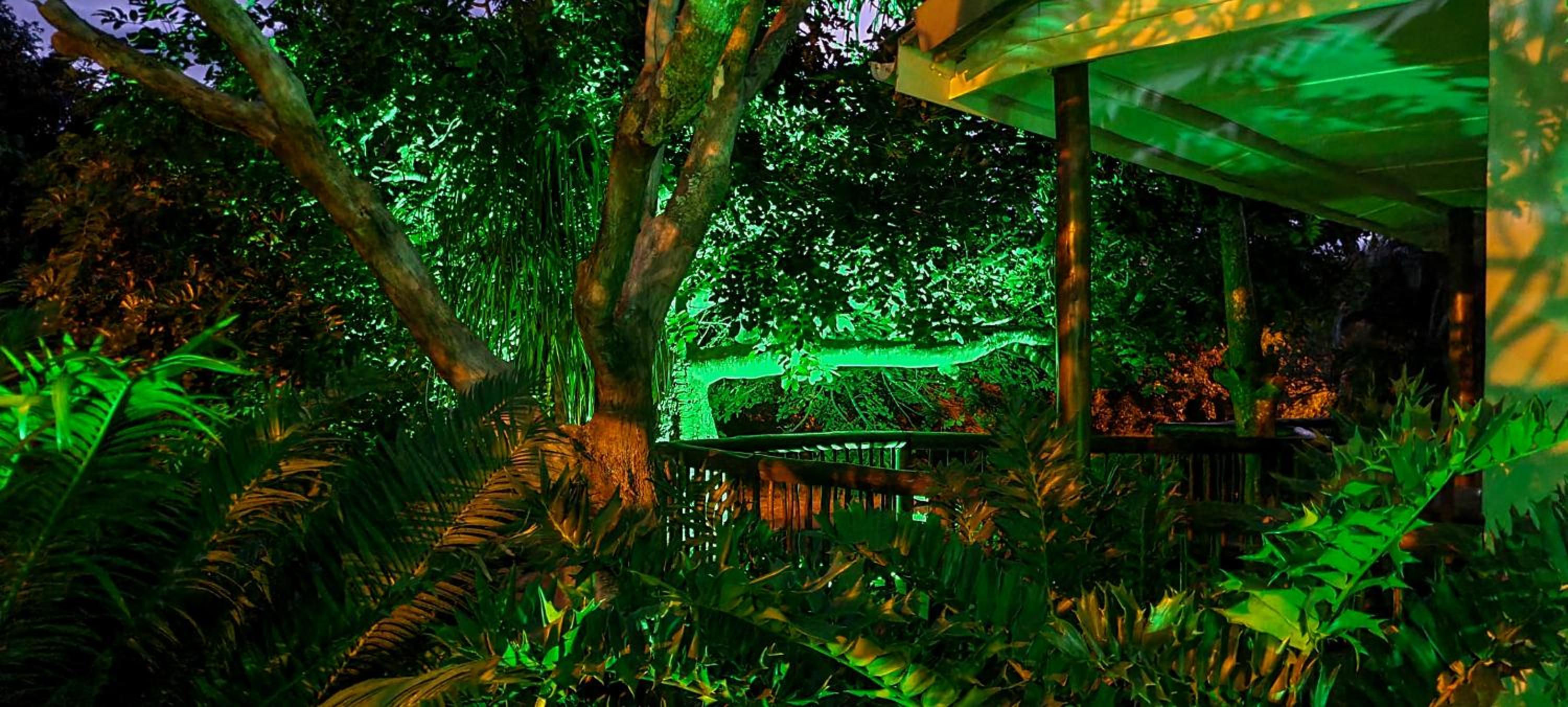 Leopard Corner Lodge