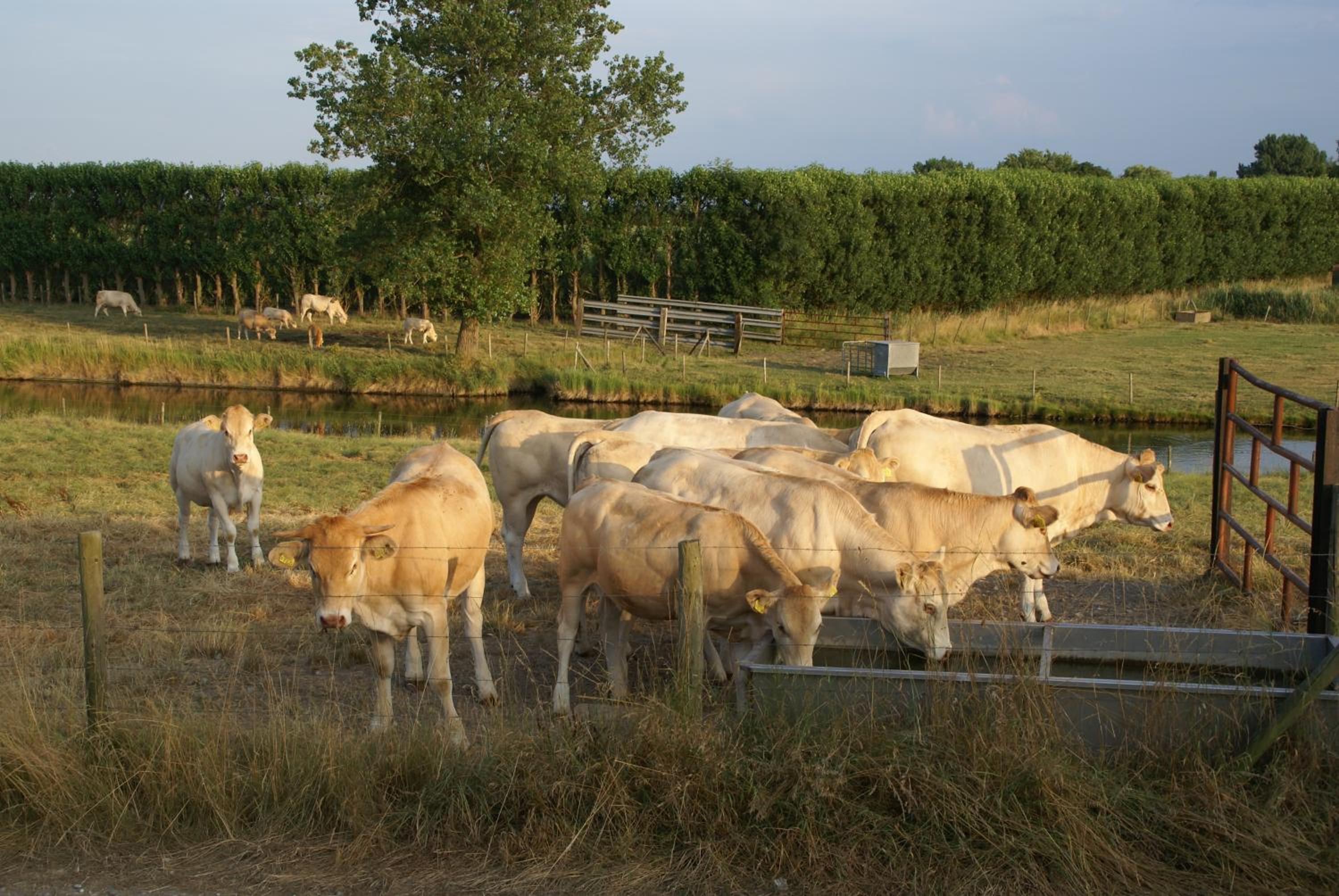 Chezeehoeve - Wemeldinge view 2