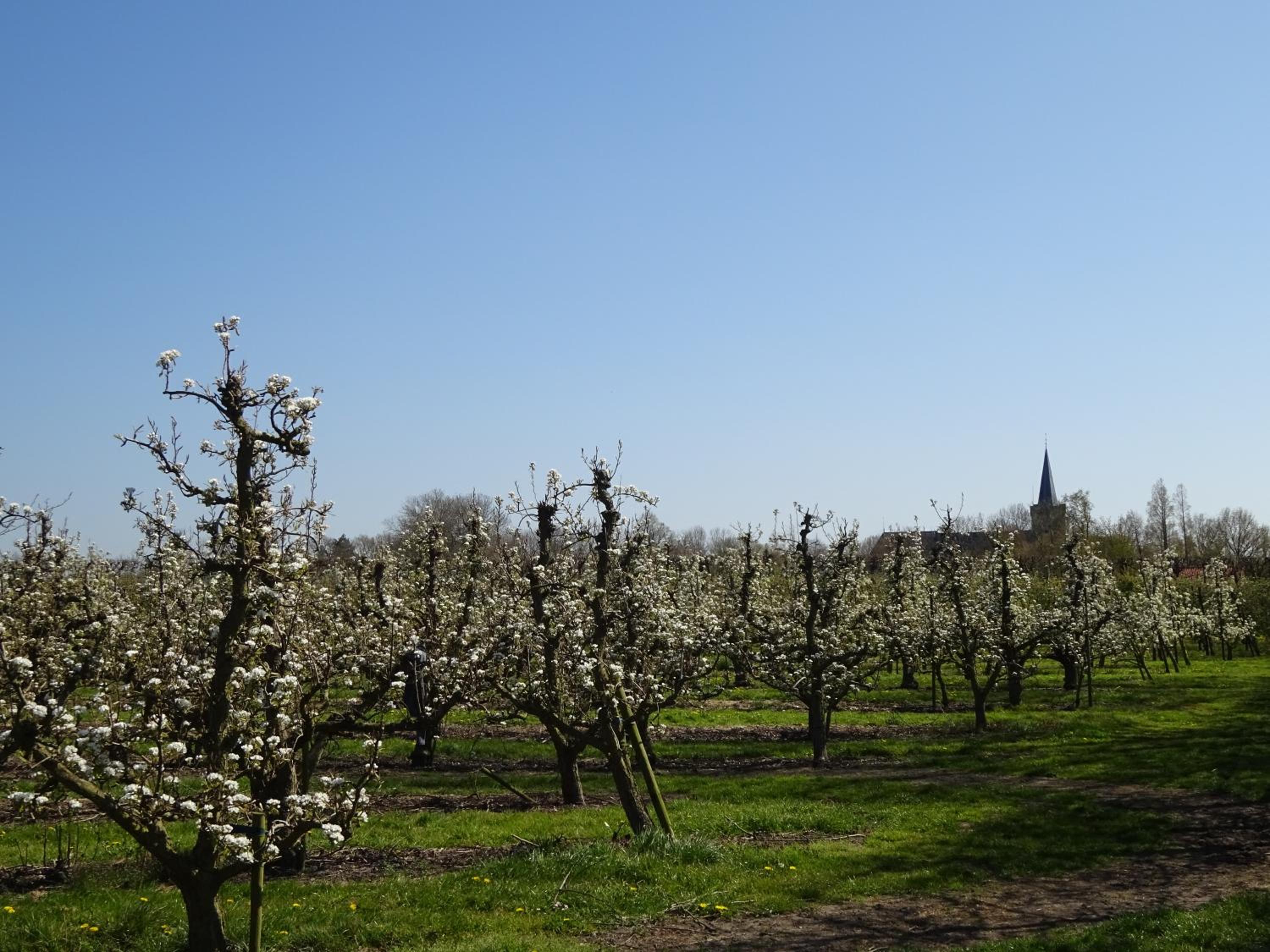 Chezeehoeve - Wemeldinge view 3