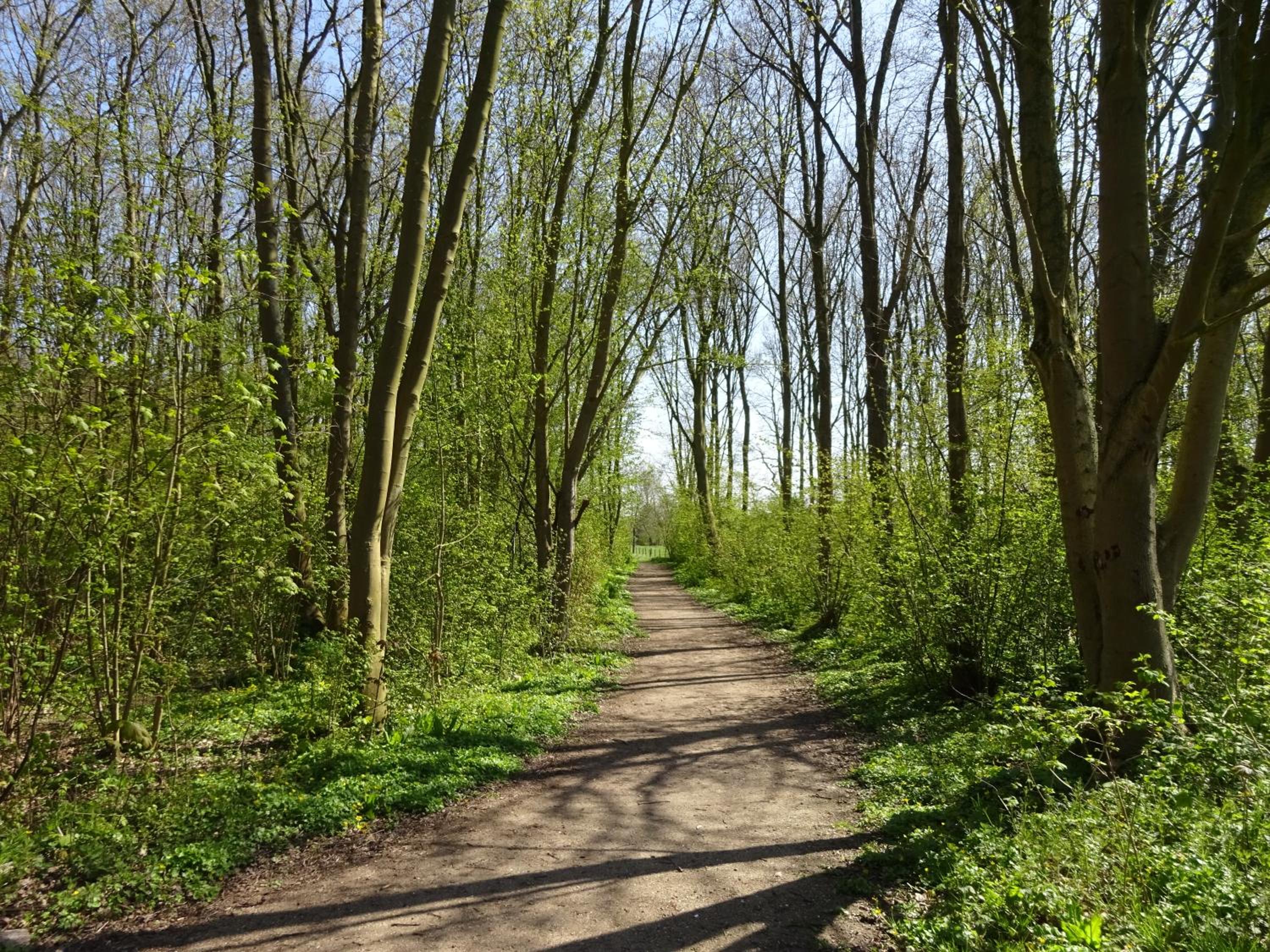 Chezeehoeve - Wemeldinge view 5